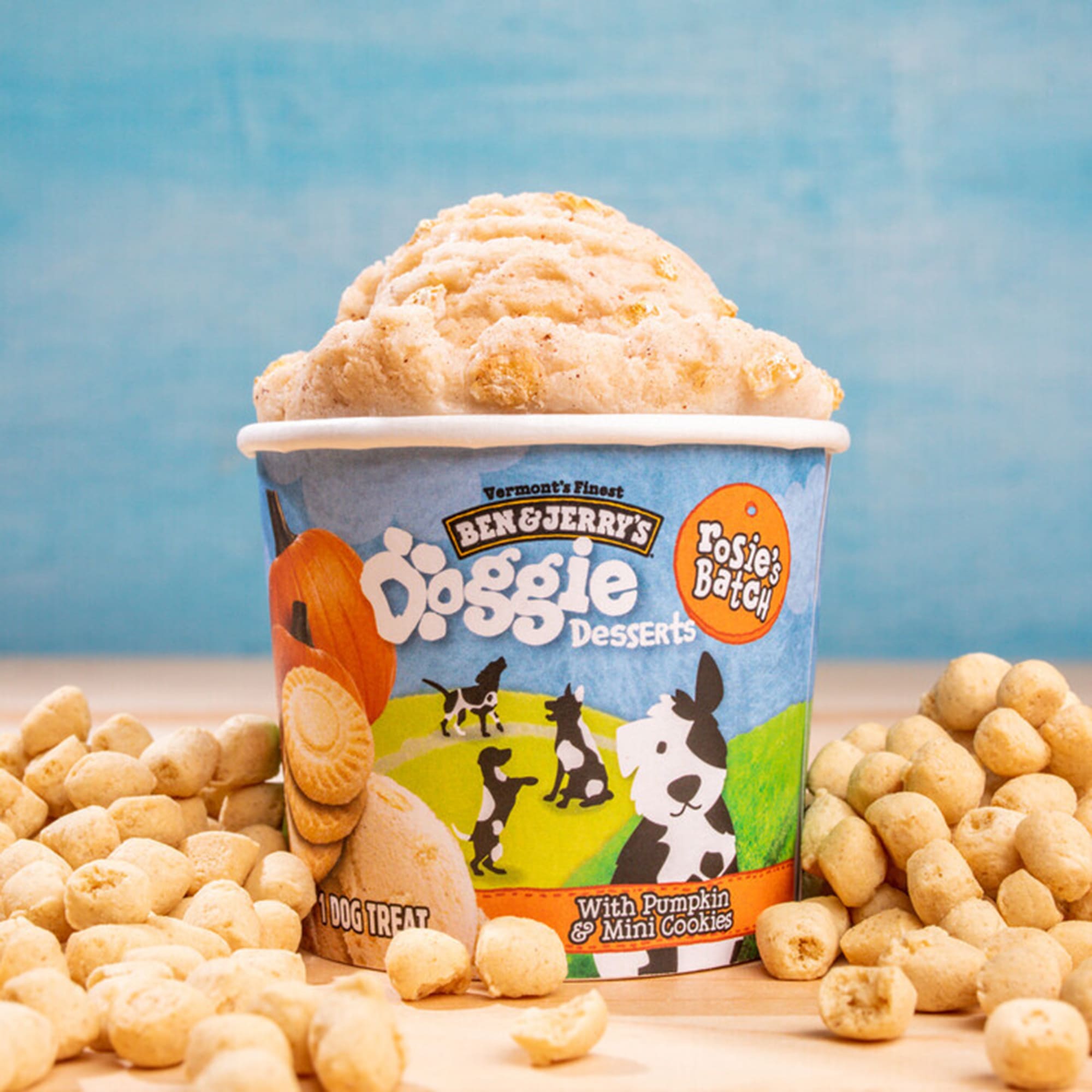 Ben & Jerry's Peanut Butter Cup / Dogsters Pet Ice Cream Bundle : Pets fast  delivery by App or Online