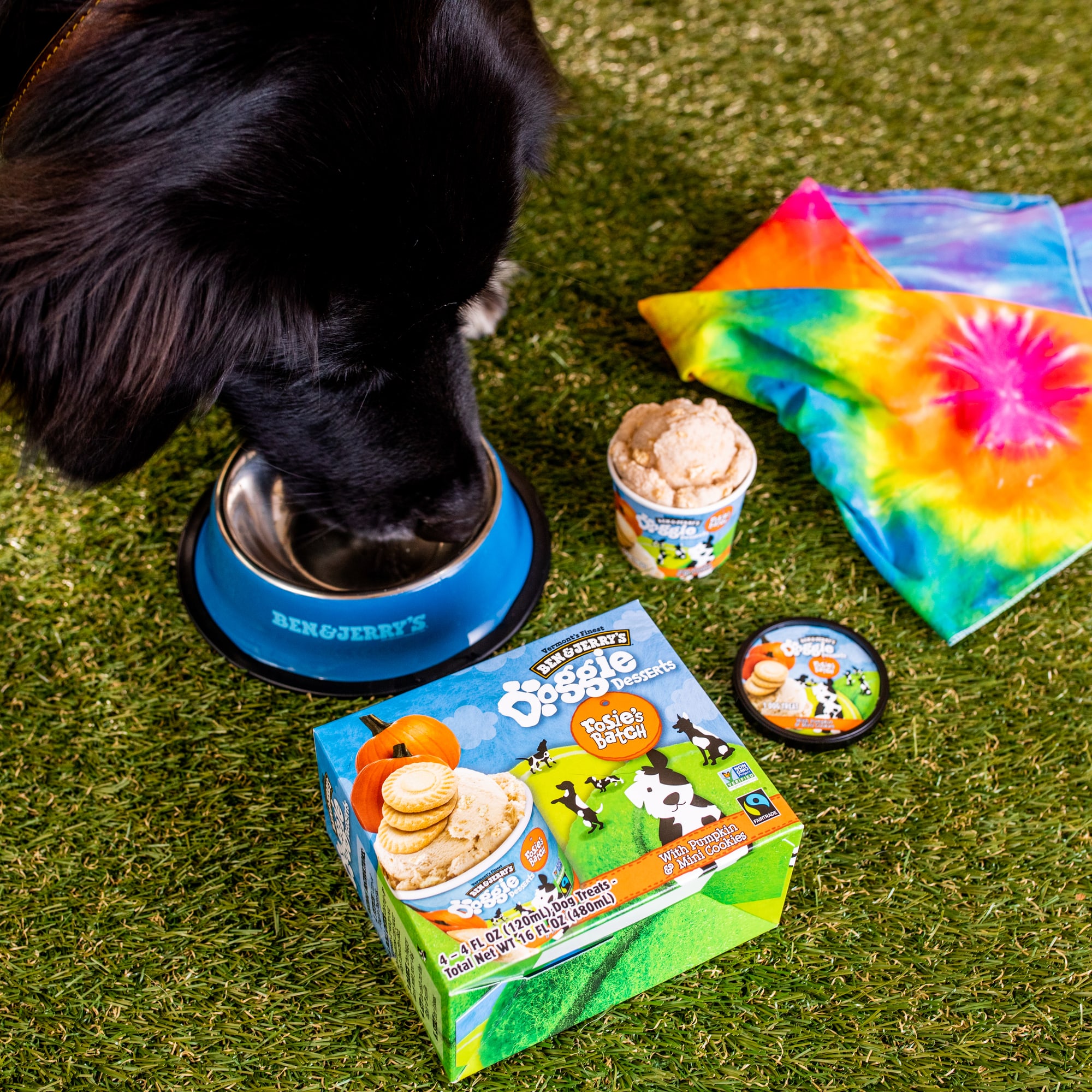 Ben & Jerry's Peanut Butter Cup / Dogsters Pet Ice Cream Bundle : Pets fast  delivery by App or Online