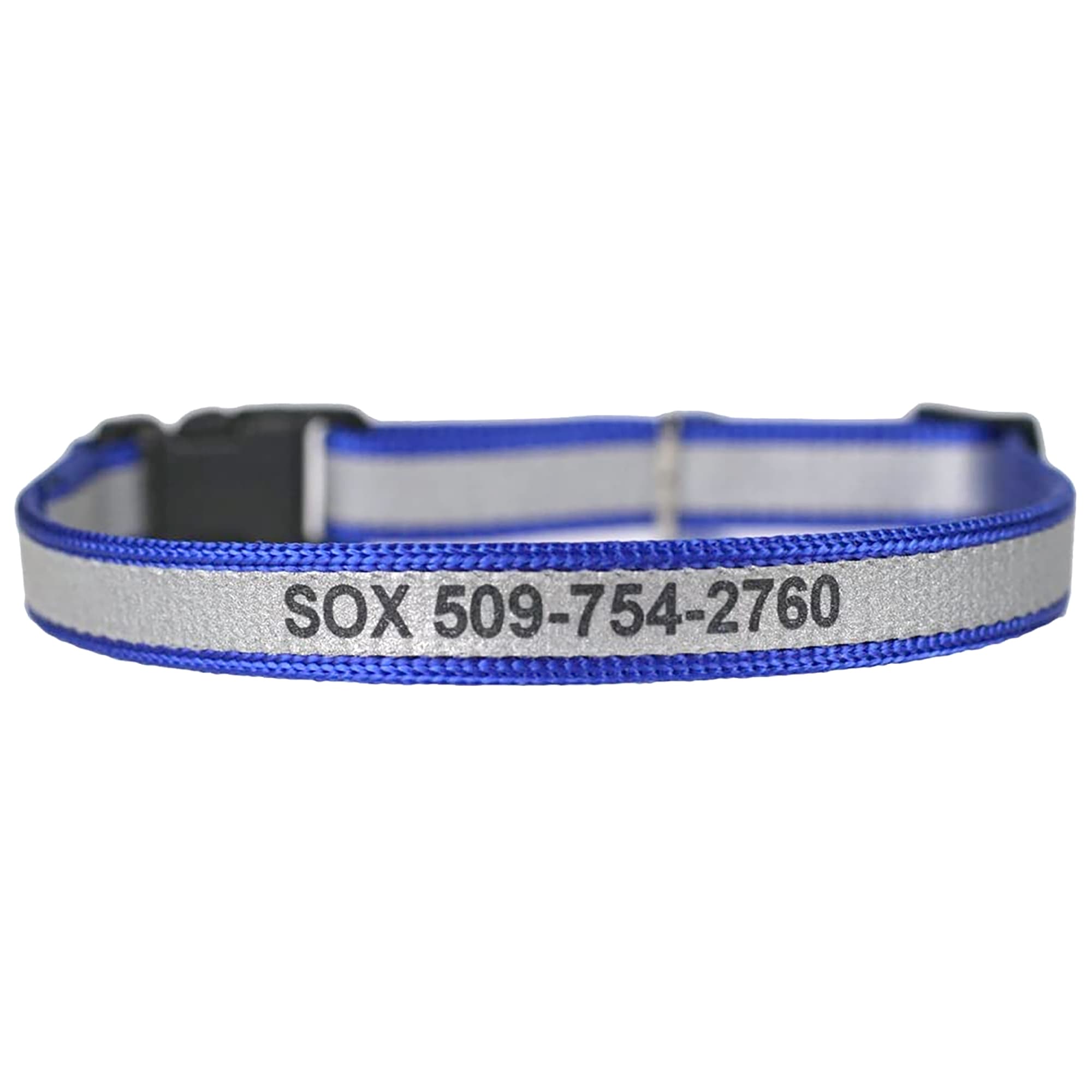 Cat collar with 2024 name and number