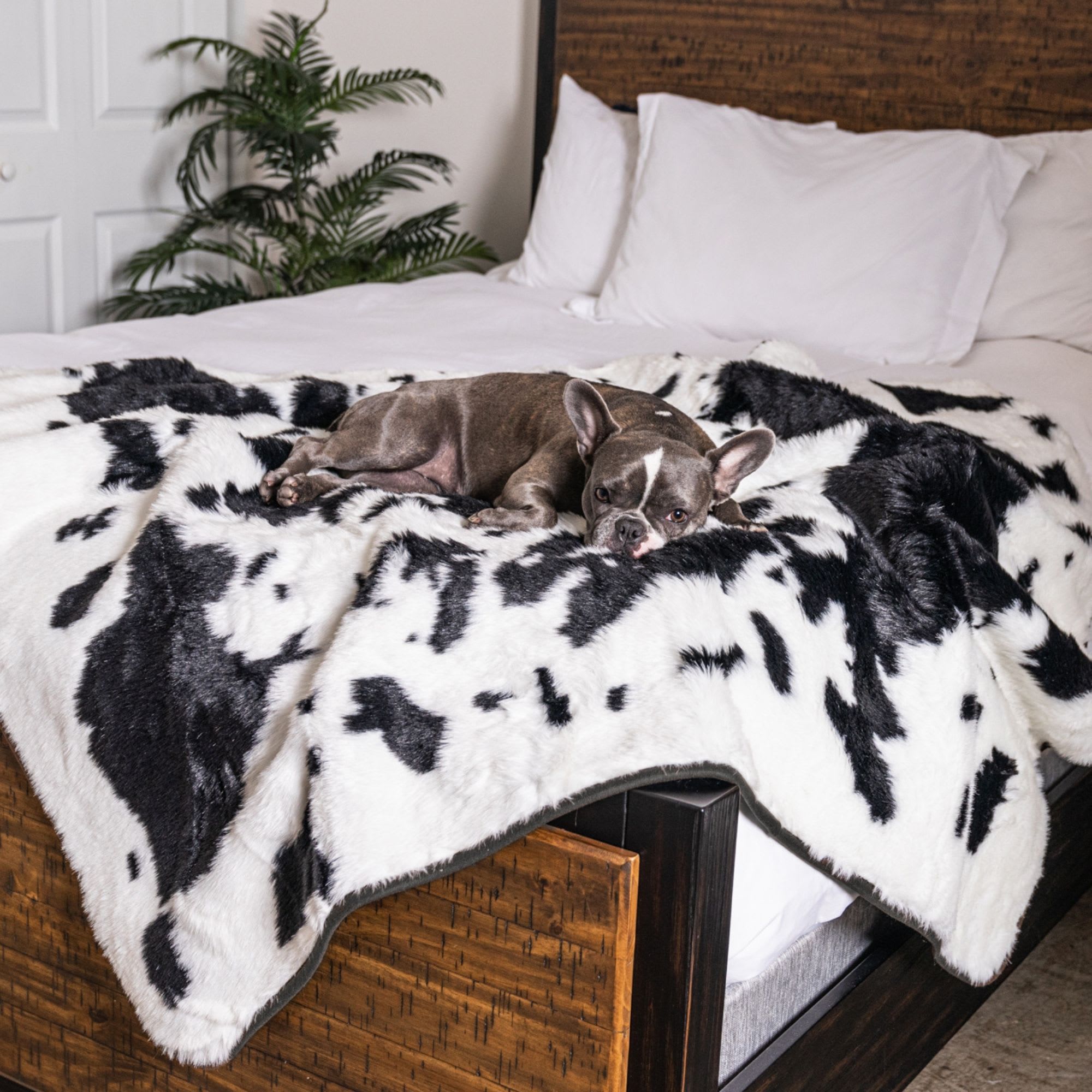 The pup discount protector throw blanket