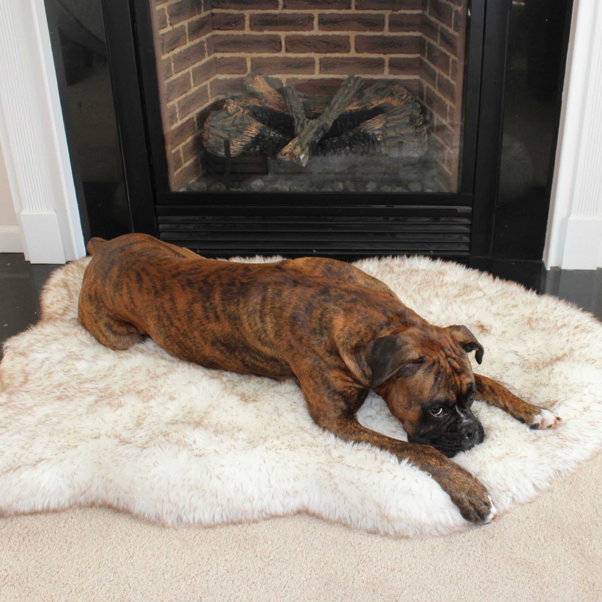 Faux Fur Shag Rug™ Companion-Pedic® Luxury Dog Bed