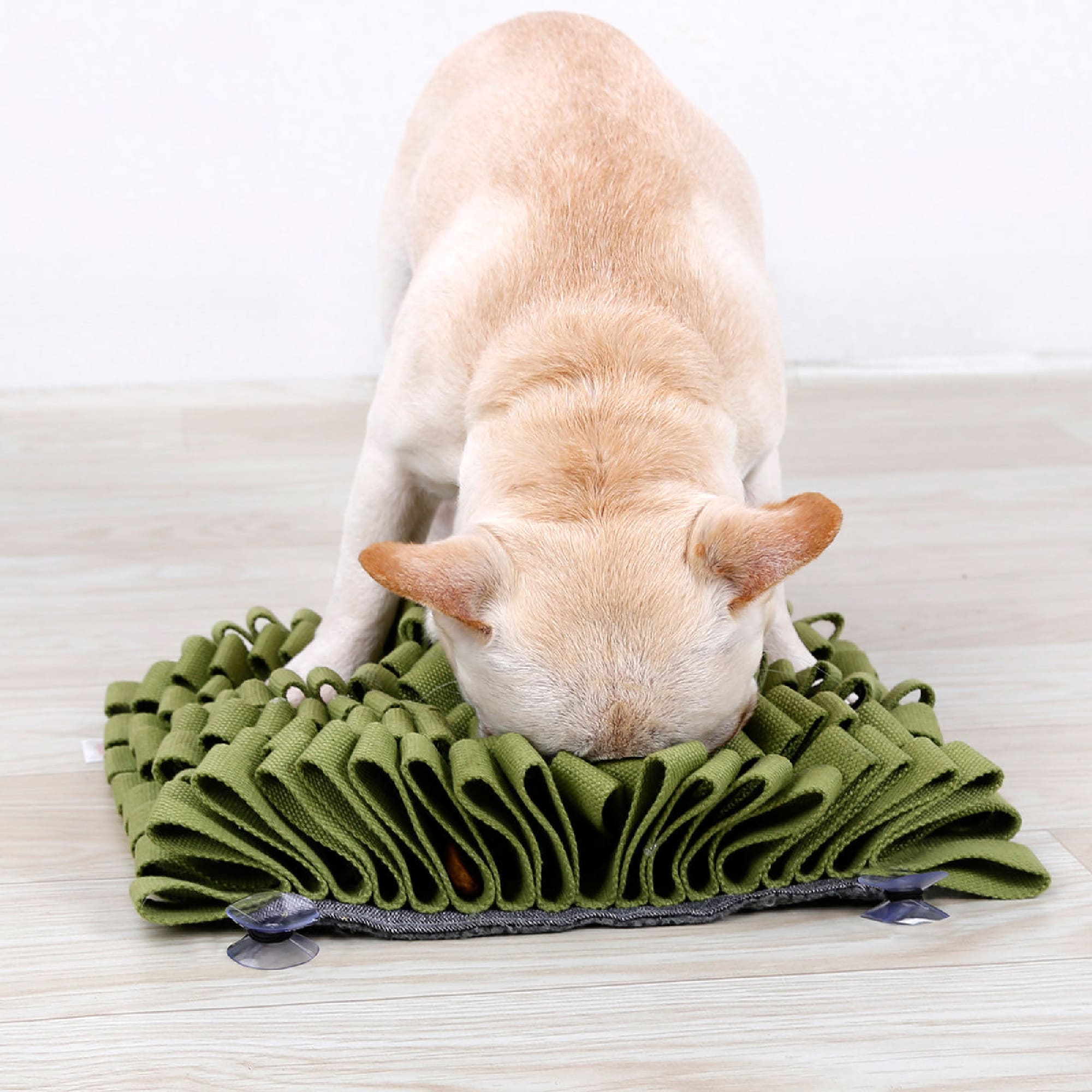 Petco snuffle mat hotsell