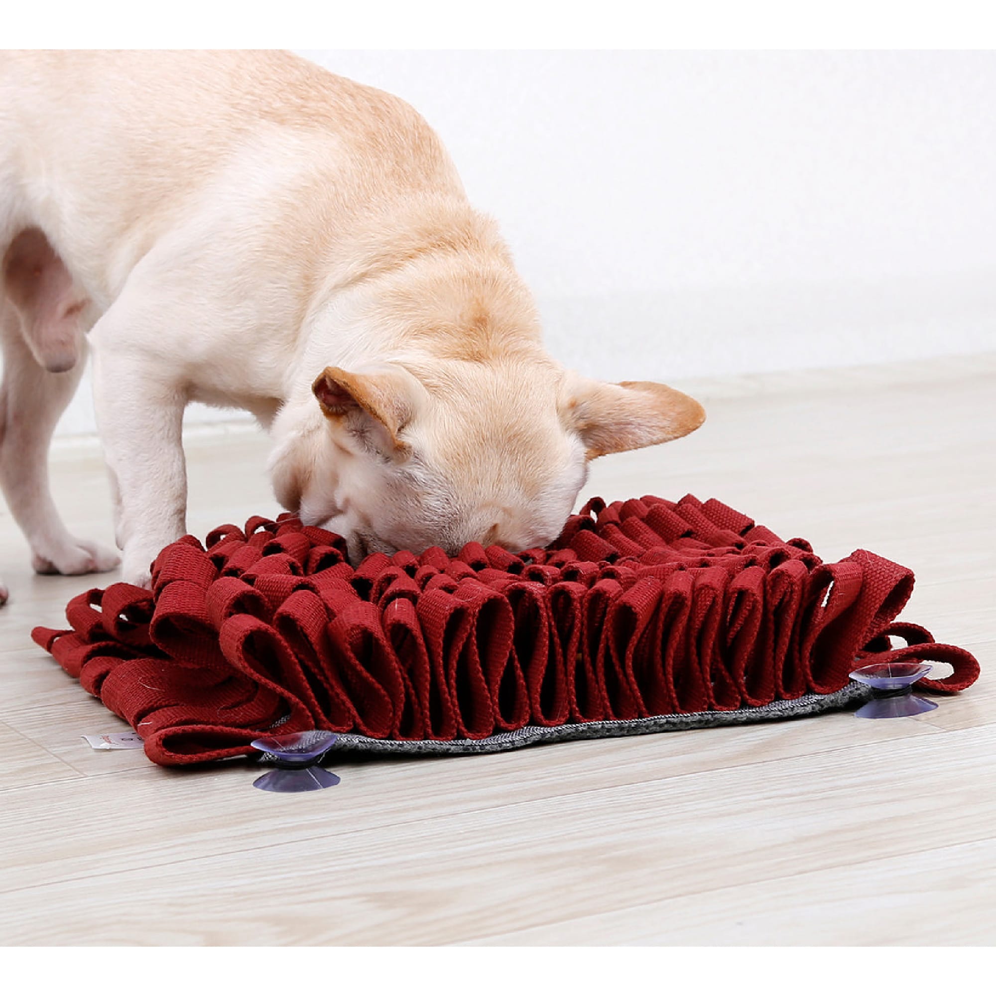 EMMA´S CLUB STORE HOME GOODS Ultra Absorbent Chenille Dog Snuffle Mat -  Sniff Mat for Small Medium Dogs Activity Mat for Cats, Pet, Puppy- 28 x 18  Inch - Yahoo Shopping