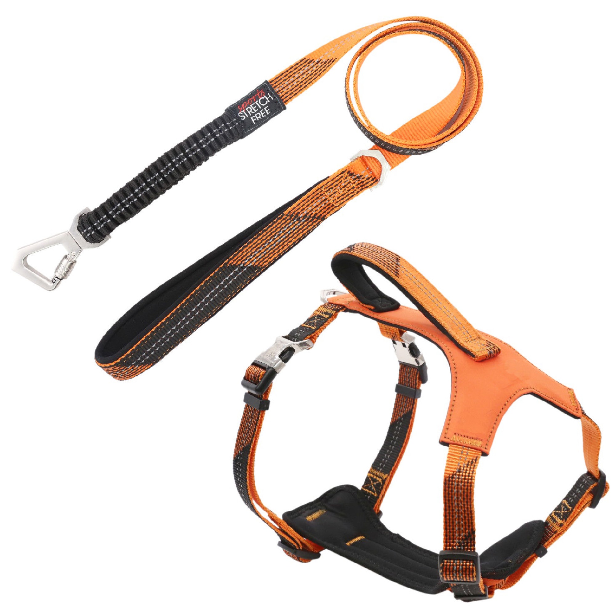 Chewy V Harness & Leash Set