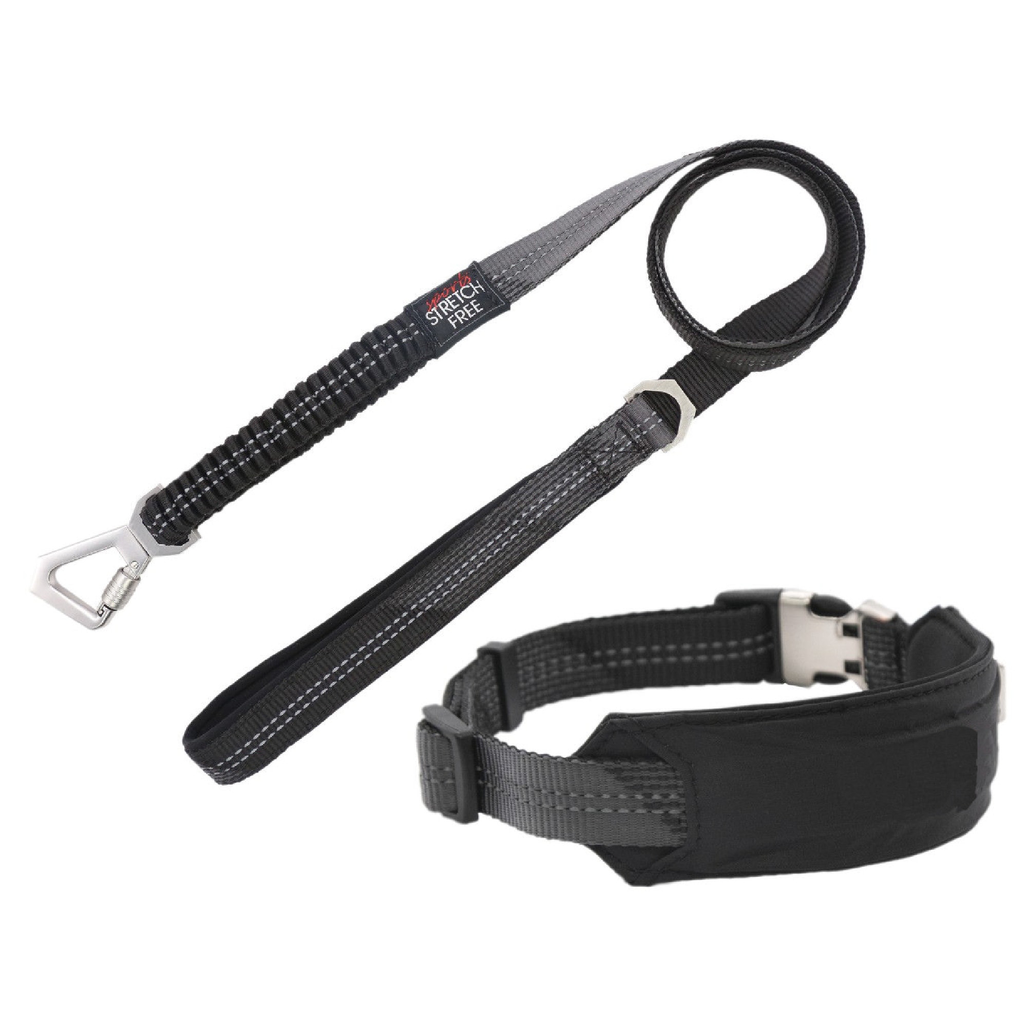 Petco leashes sales and collars