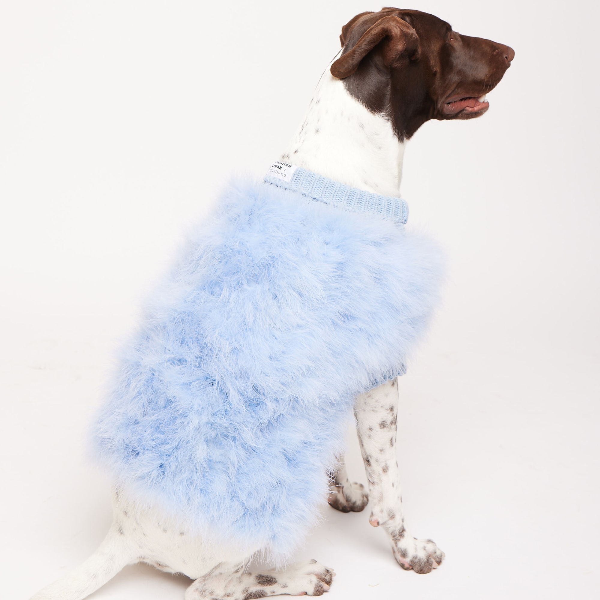 maxbone x Chrisitan Cowan Jumper Blue Dog Sweater, Small | Petco