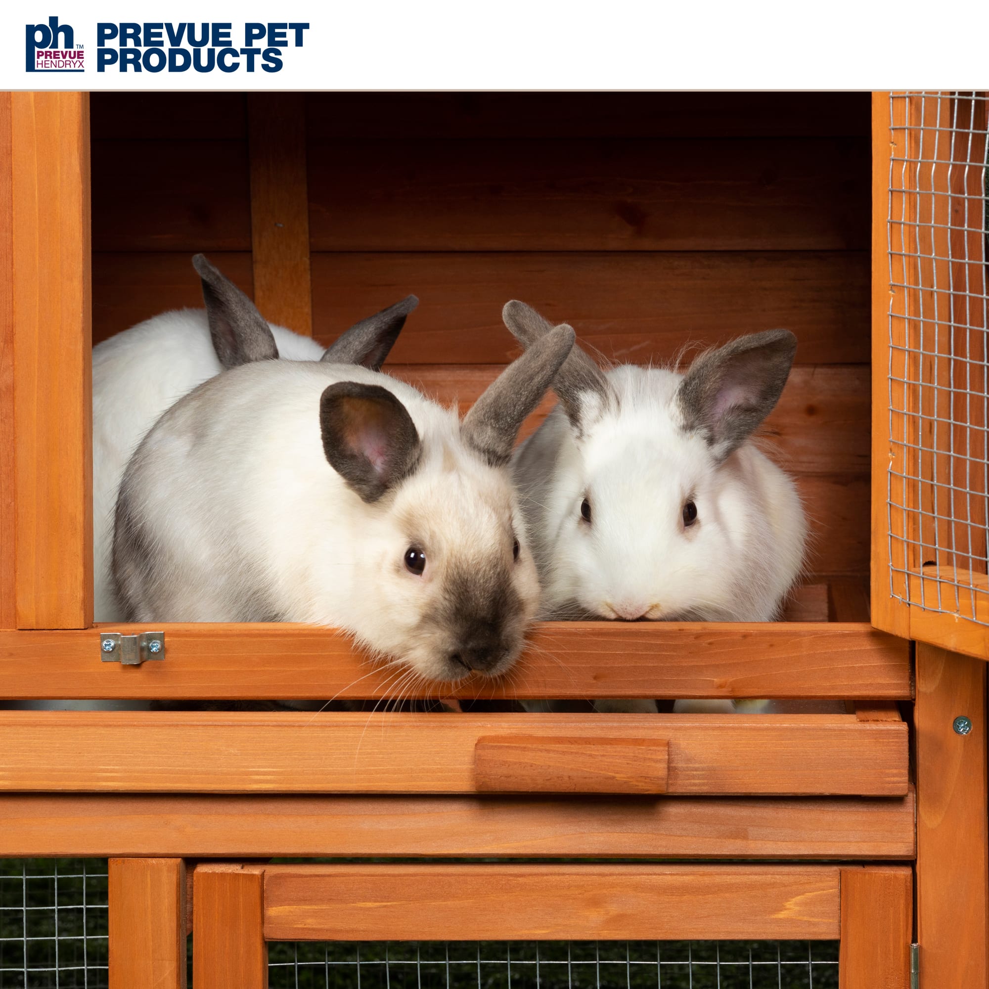 Pets at home double rabbit hutch hotsell