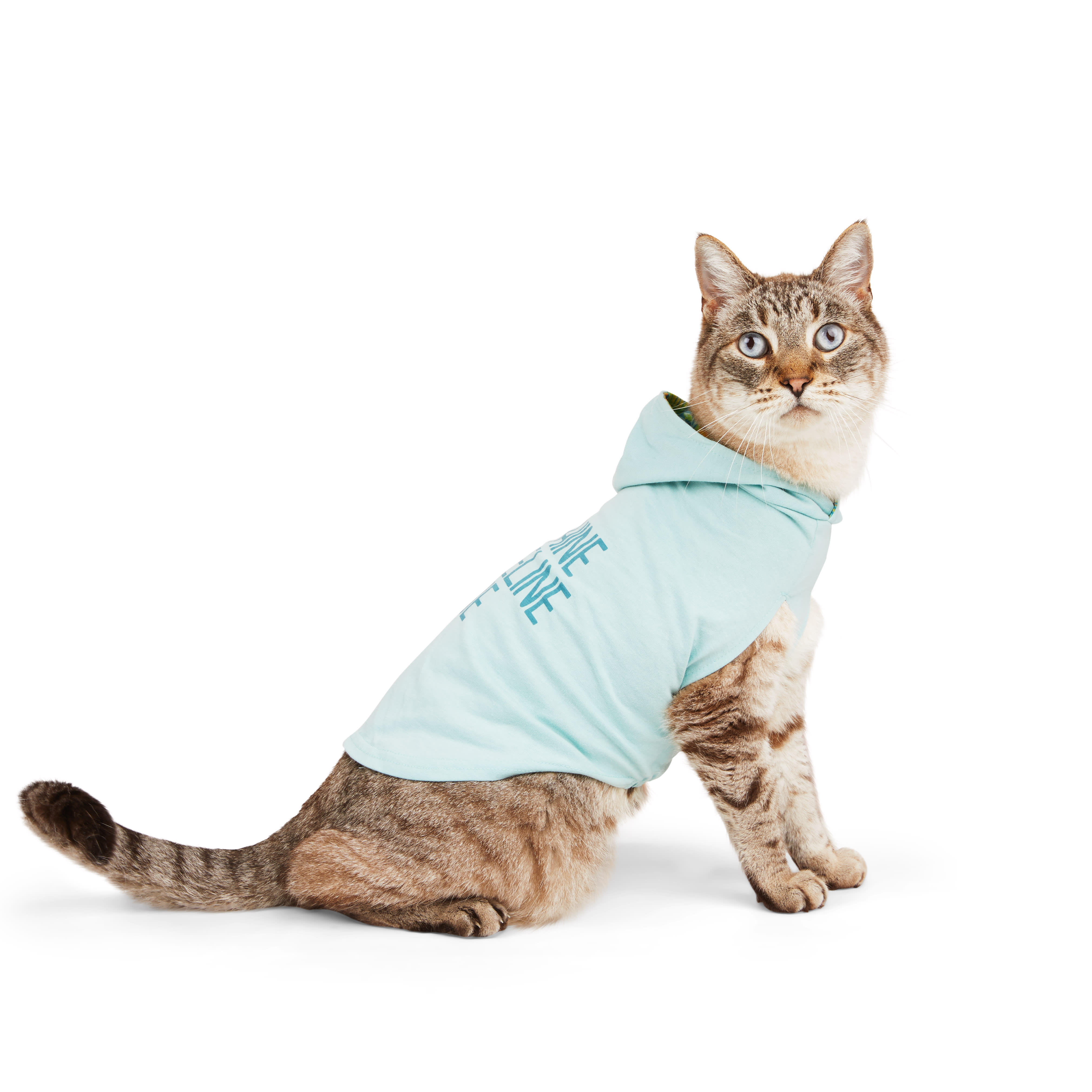 Cat hoodie best sale for cats