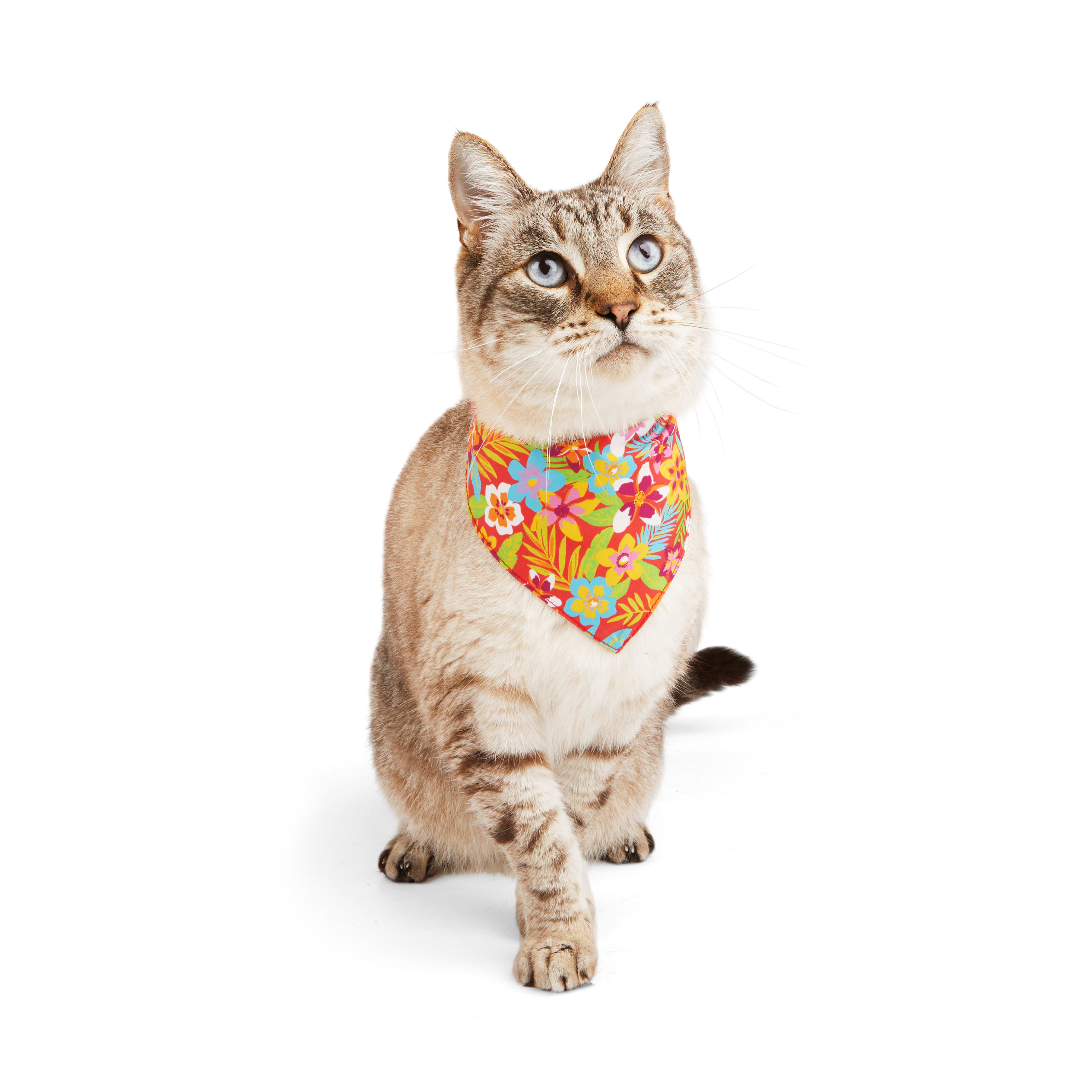 YOULY Cat Tropic Floral Bandana Small Medium