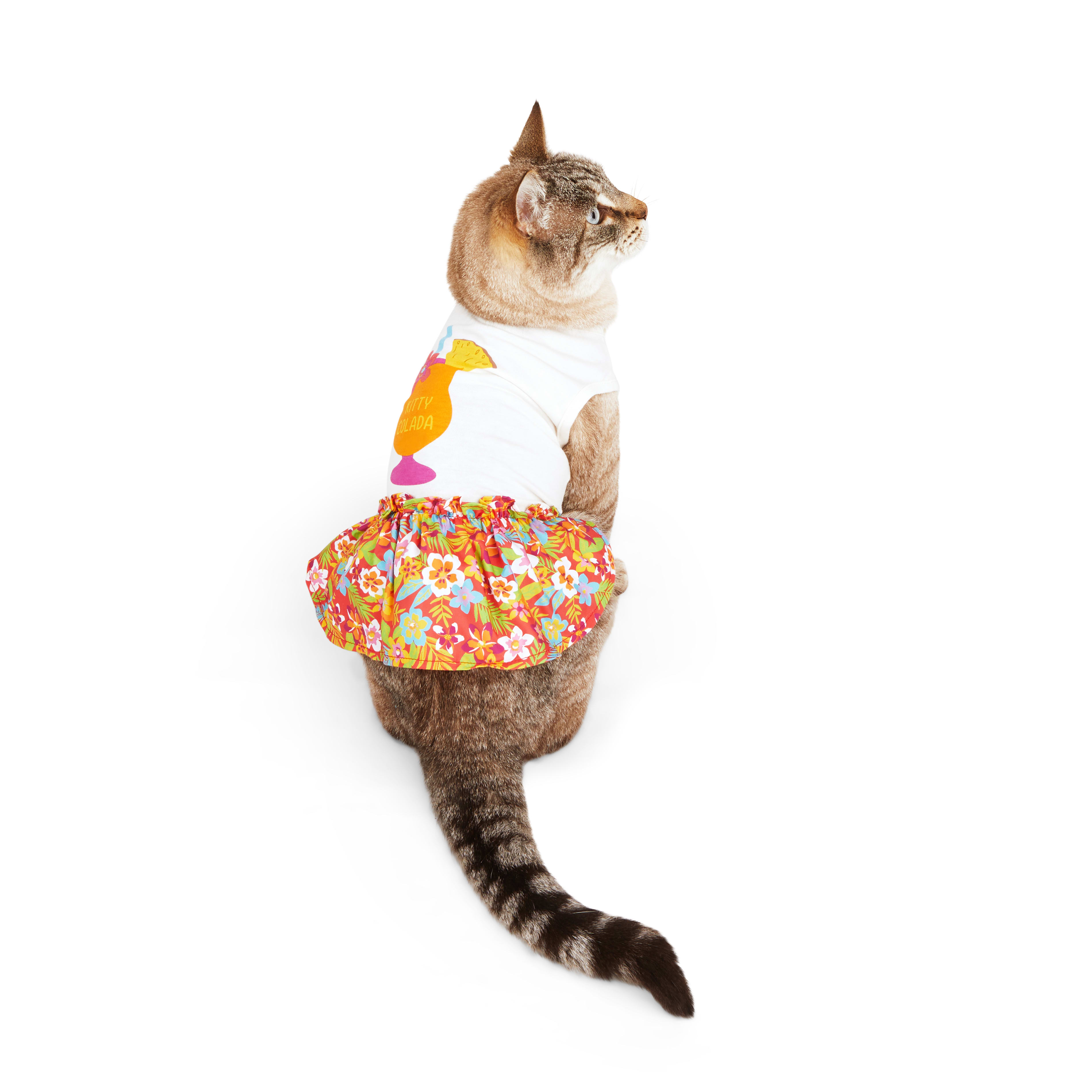 Petco cat clearance clothes