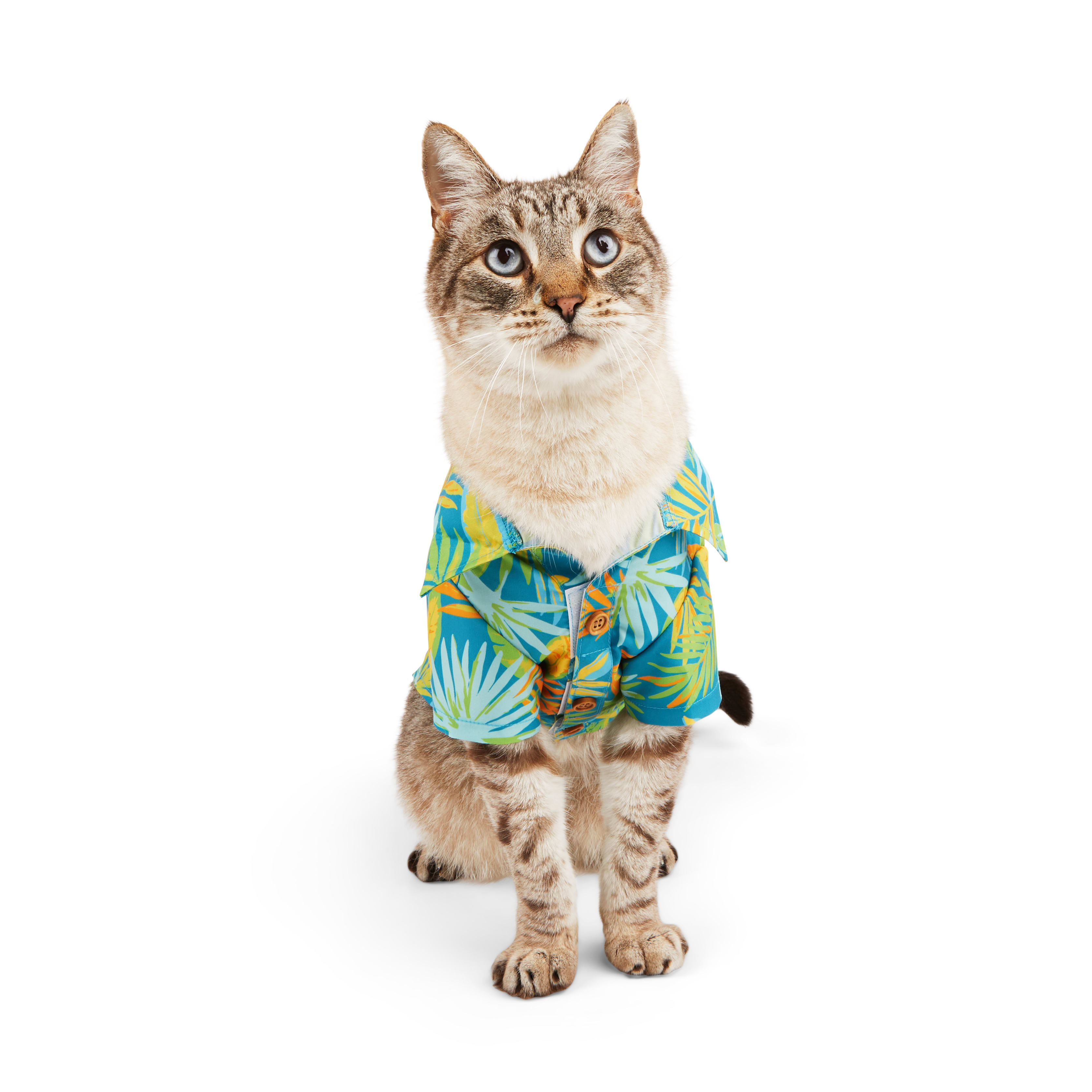 YOULY Cat Tropic Palm Shirt, Small/Medium