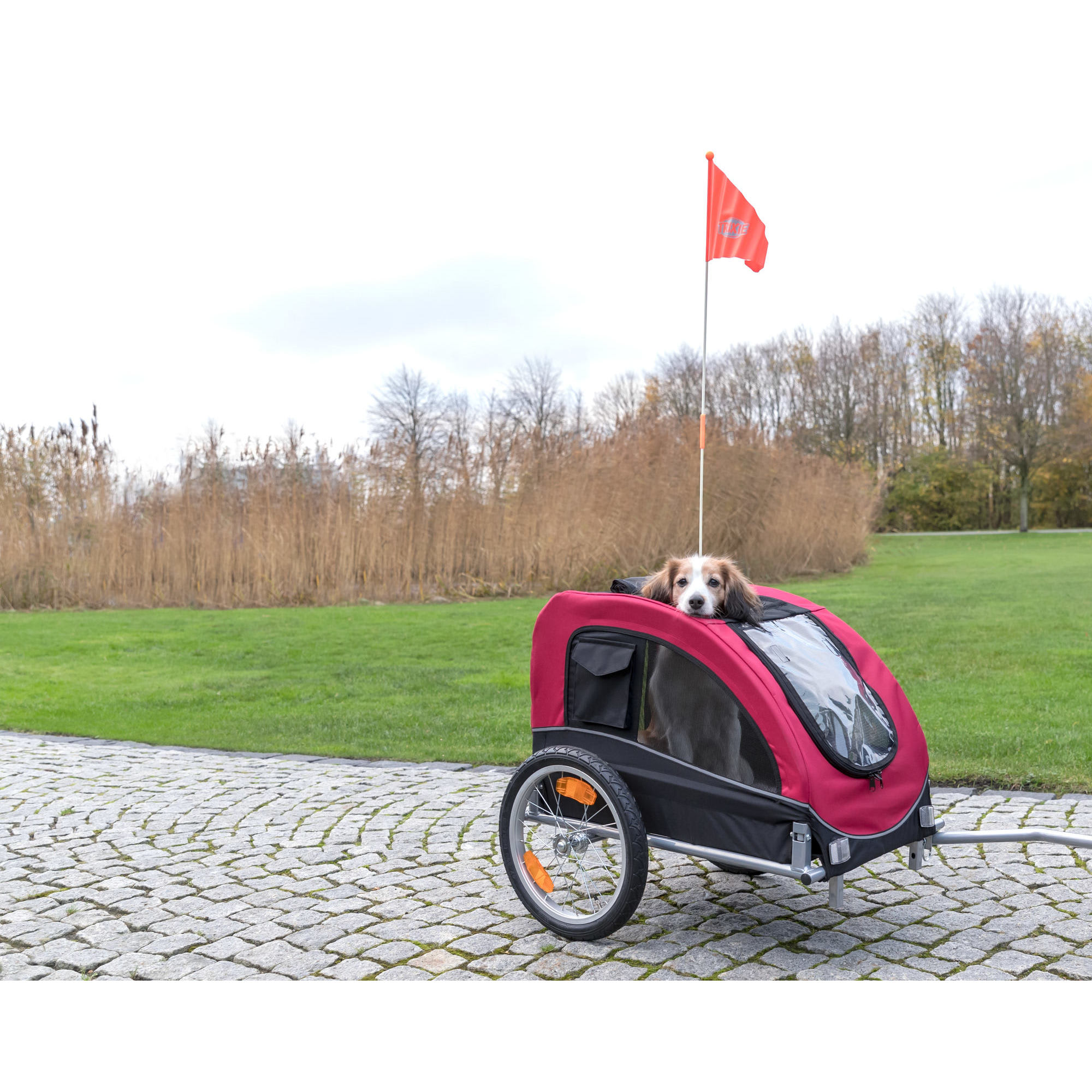 TRIXIE Bike Trailer for Dogs Large Petco