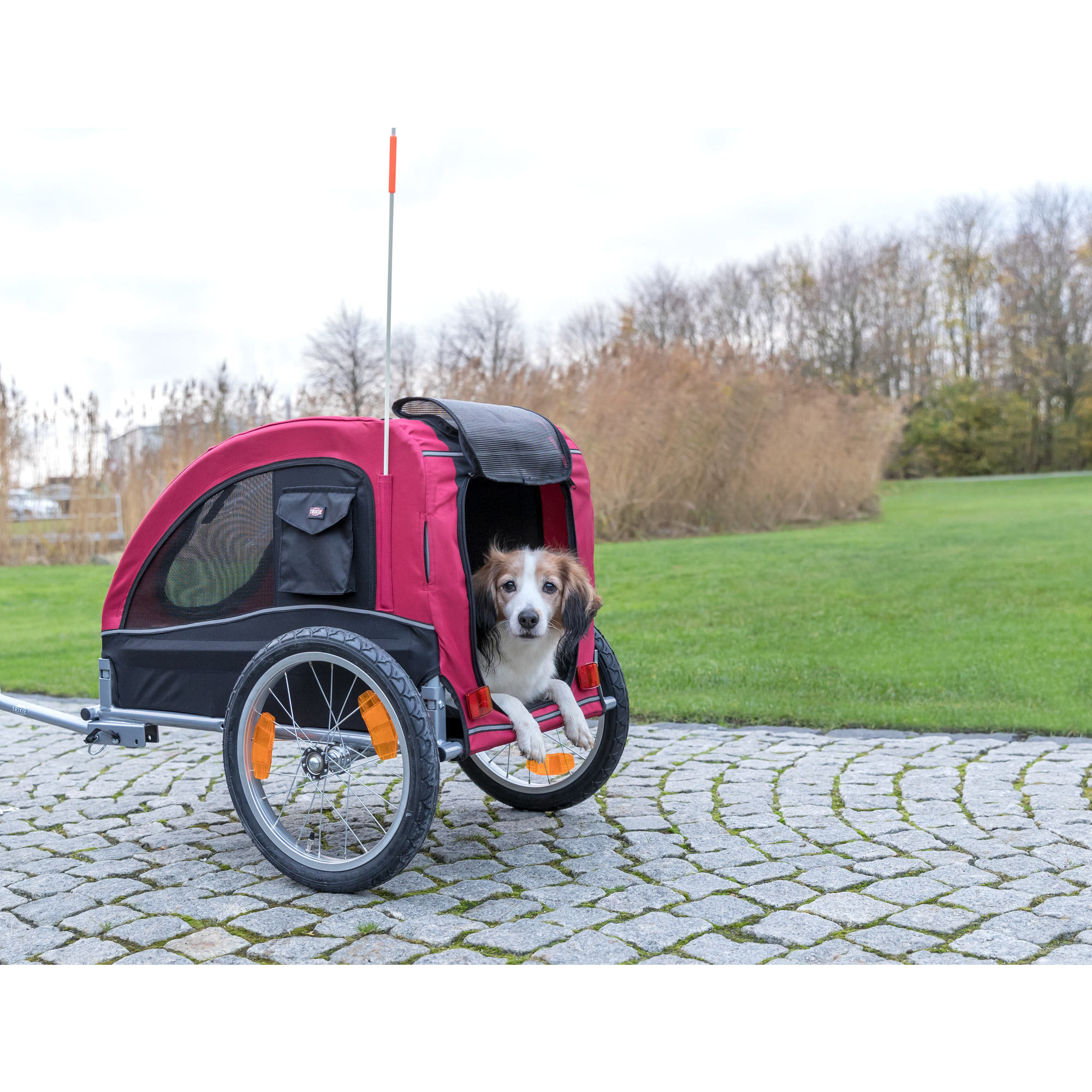 TRIXIE Bike Trailer for Dogs, Large