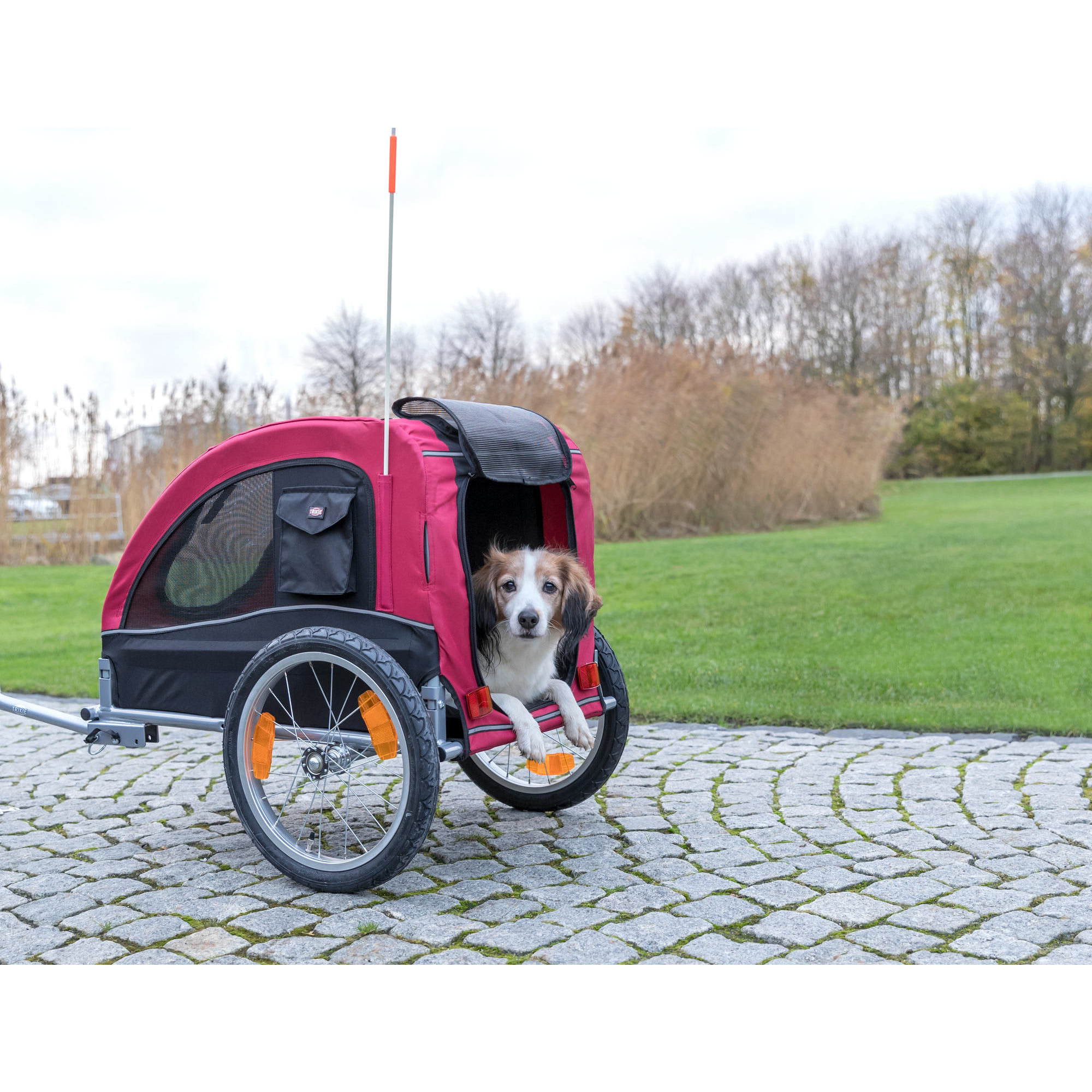 Trixie bicycle trailer hot sale