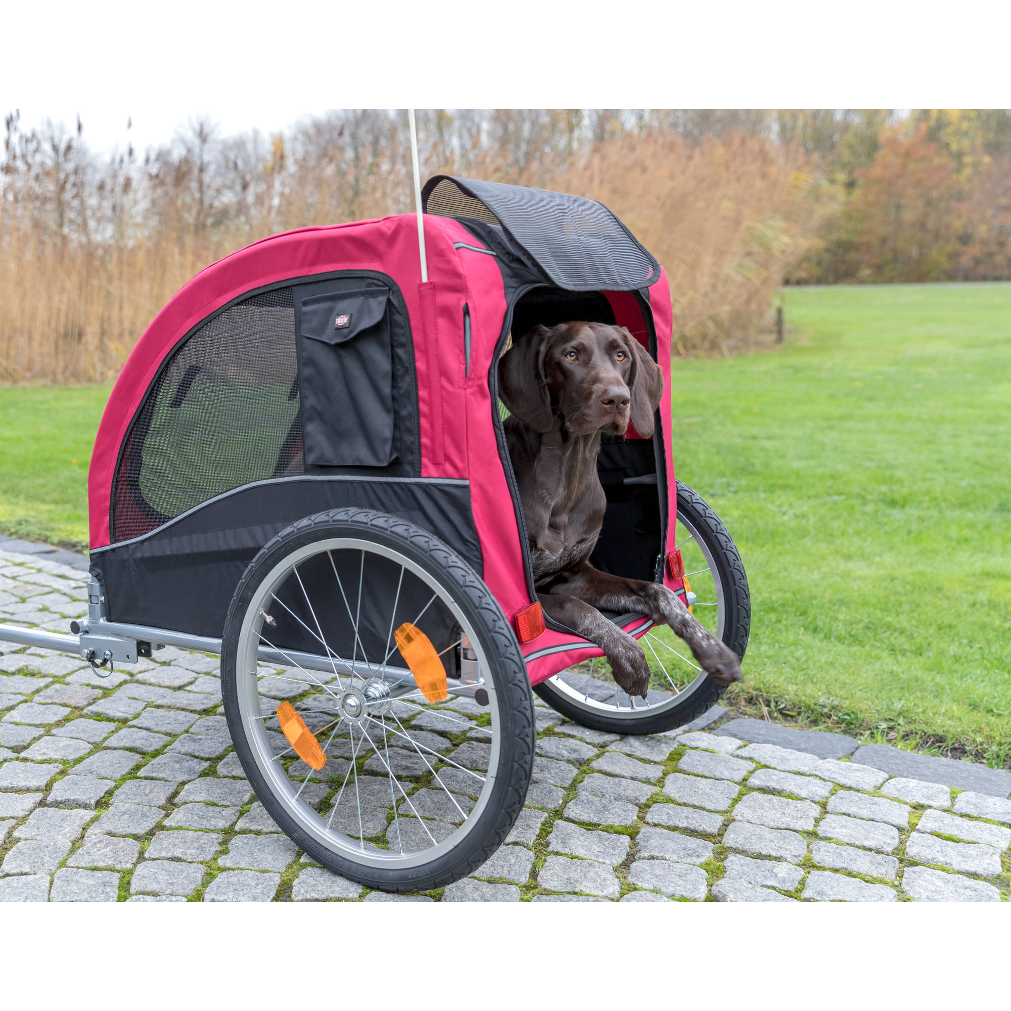 TRIXIE Bike Trailer for Dogs, Large
