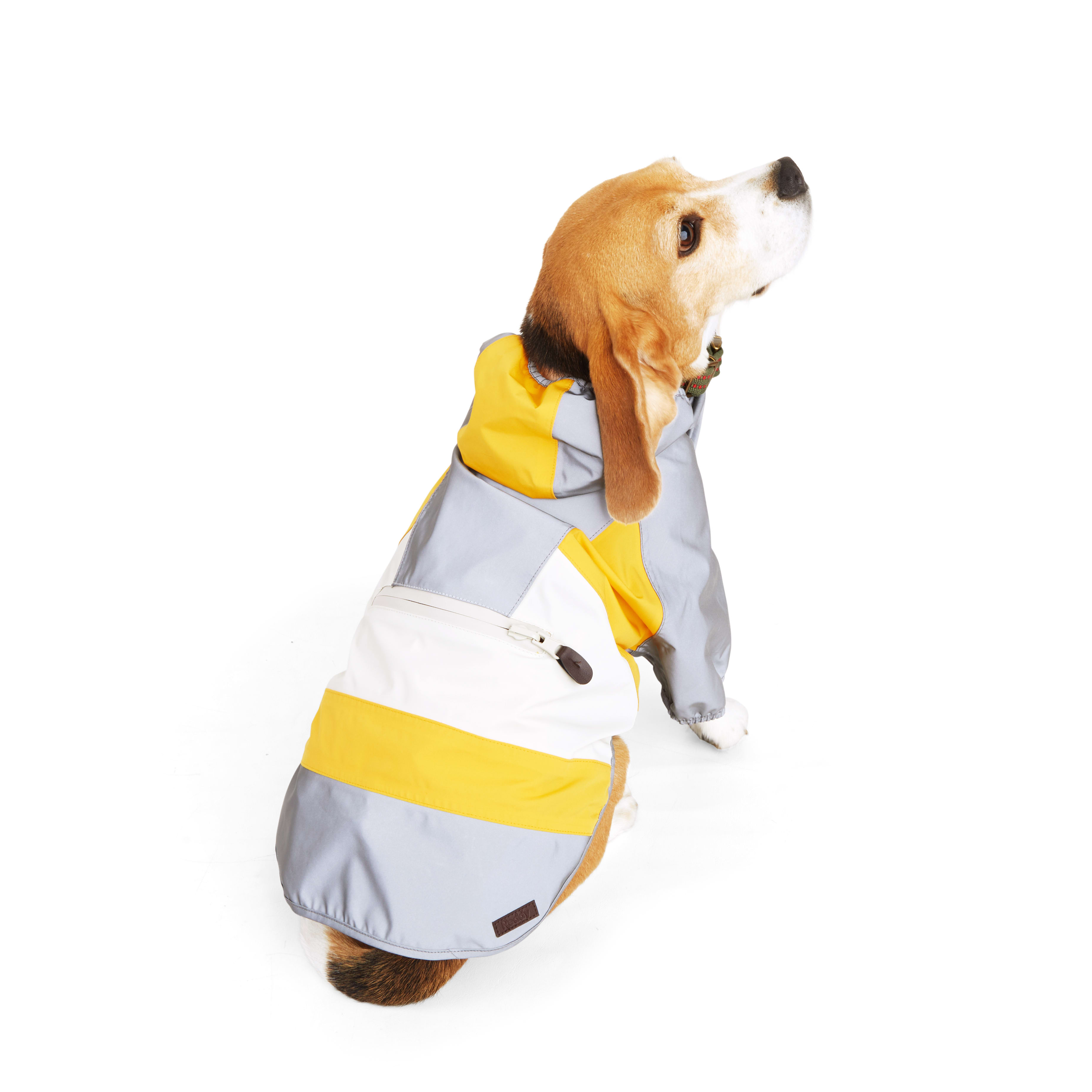 Petco raincoat 2024