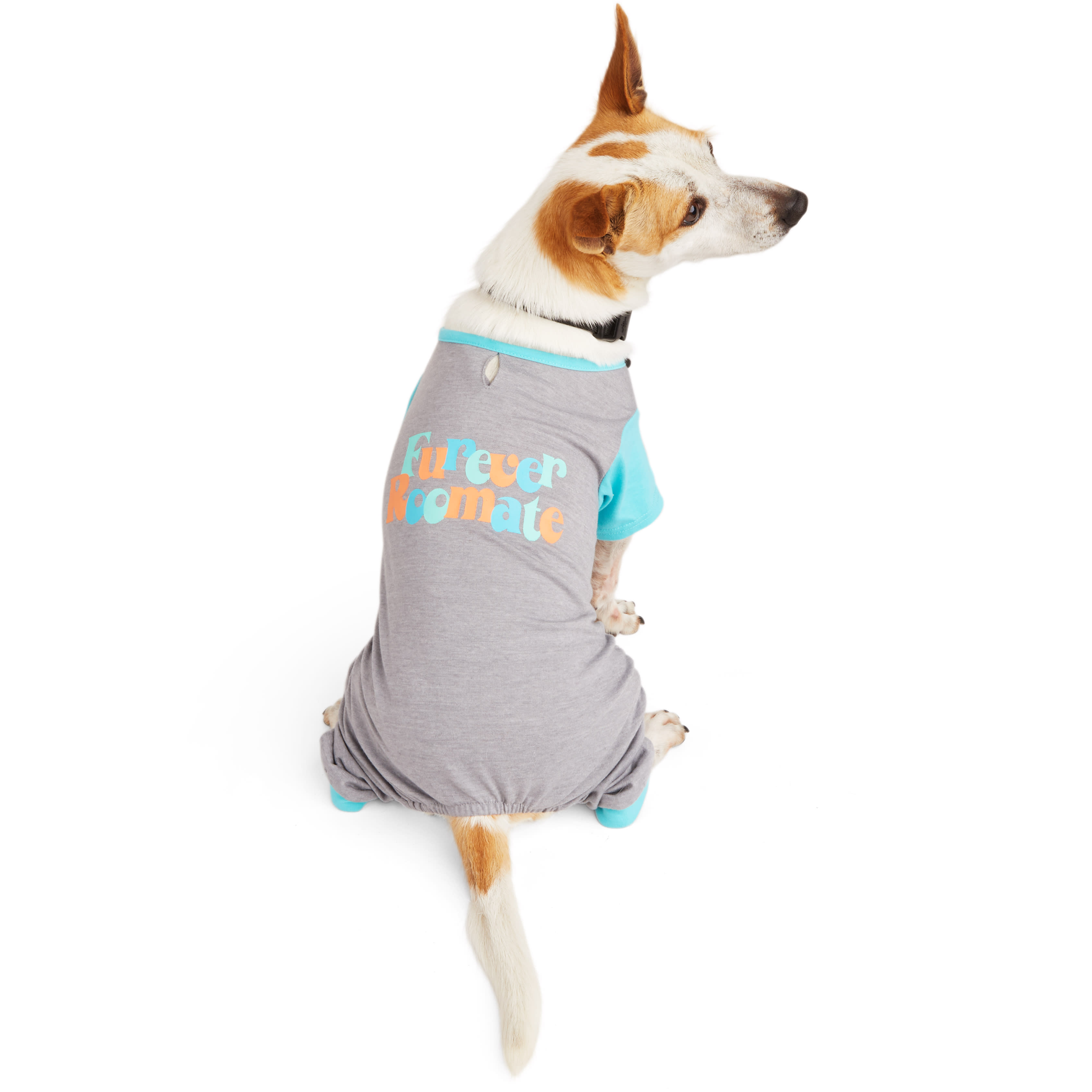 Petco pajamas 2025