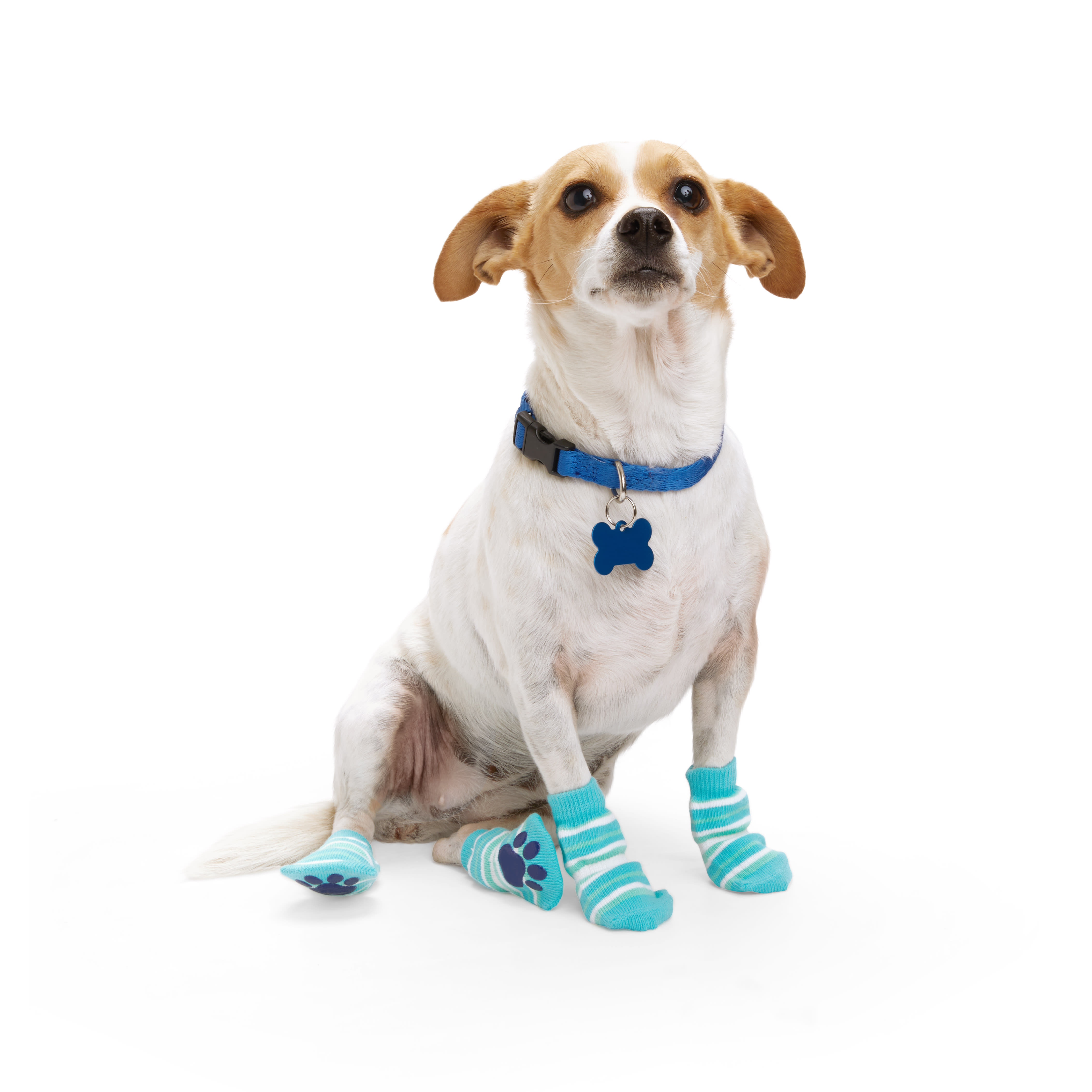 Pet Dog Socks Factory Shop, Save 69 idiomas.to.senac.br