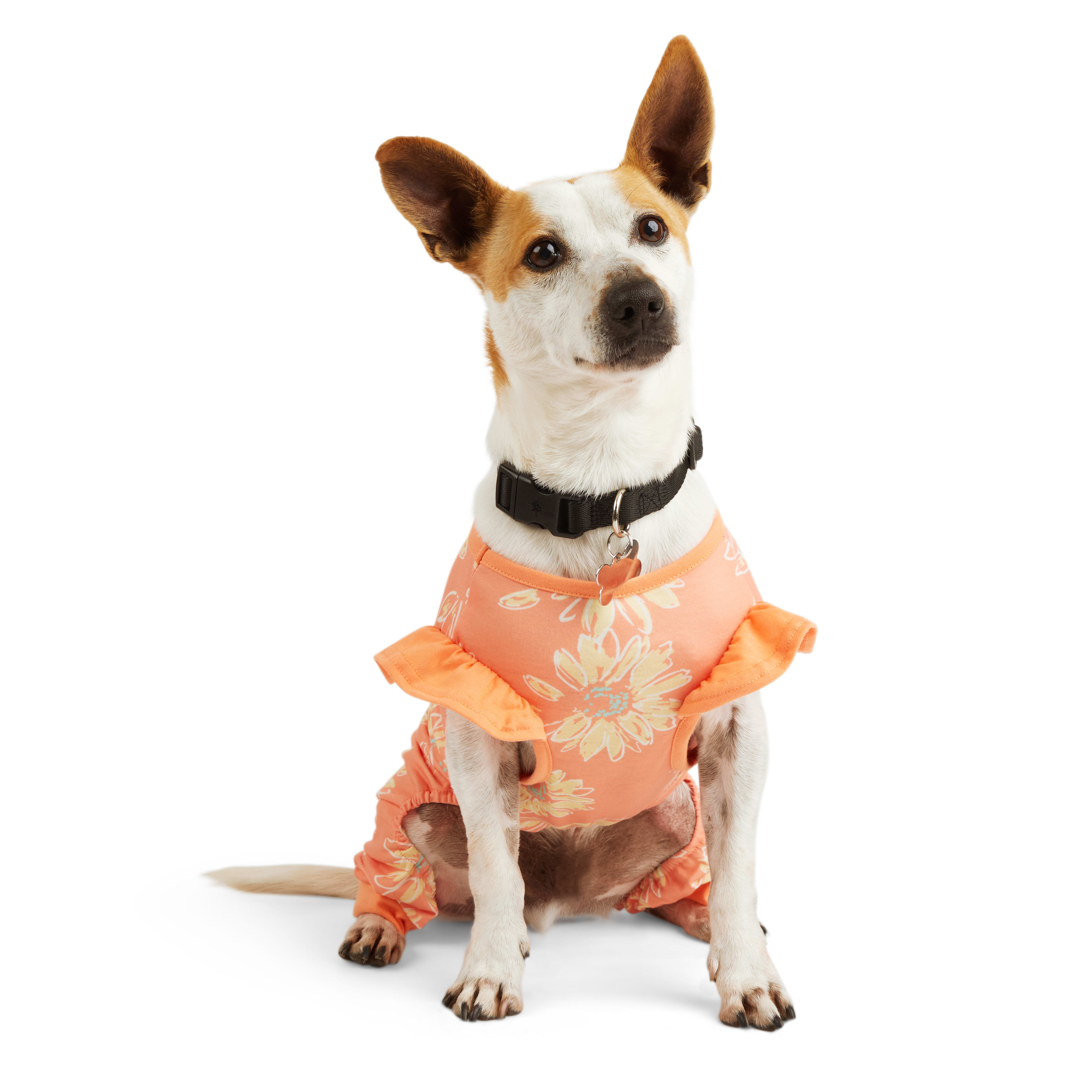 YOULY Sketched Floral Dog Pajama, Large Petco