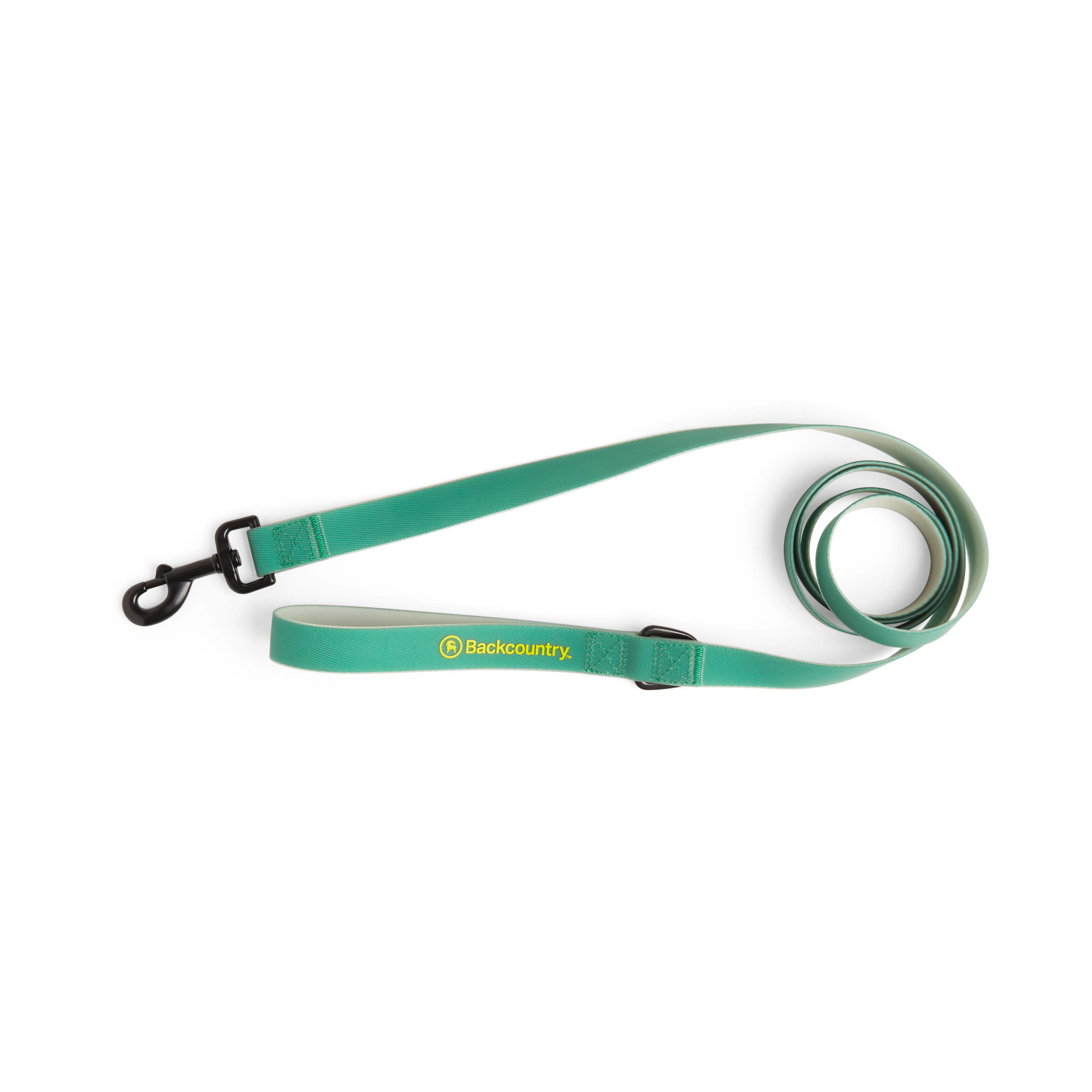 Backcountry x Petco The Dog Lead 6 ft