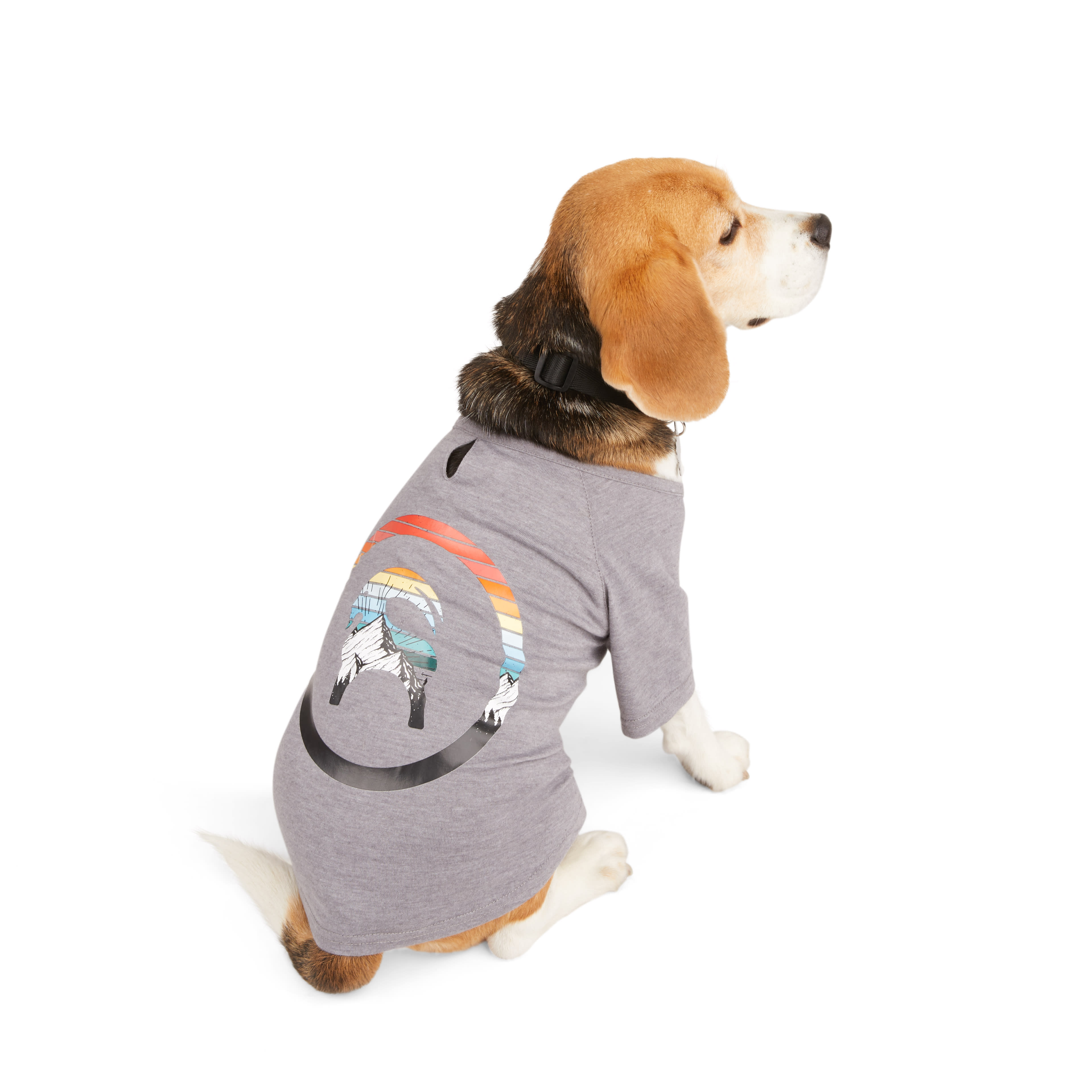 Petco clothes hot sale