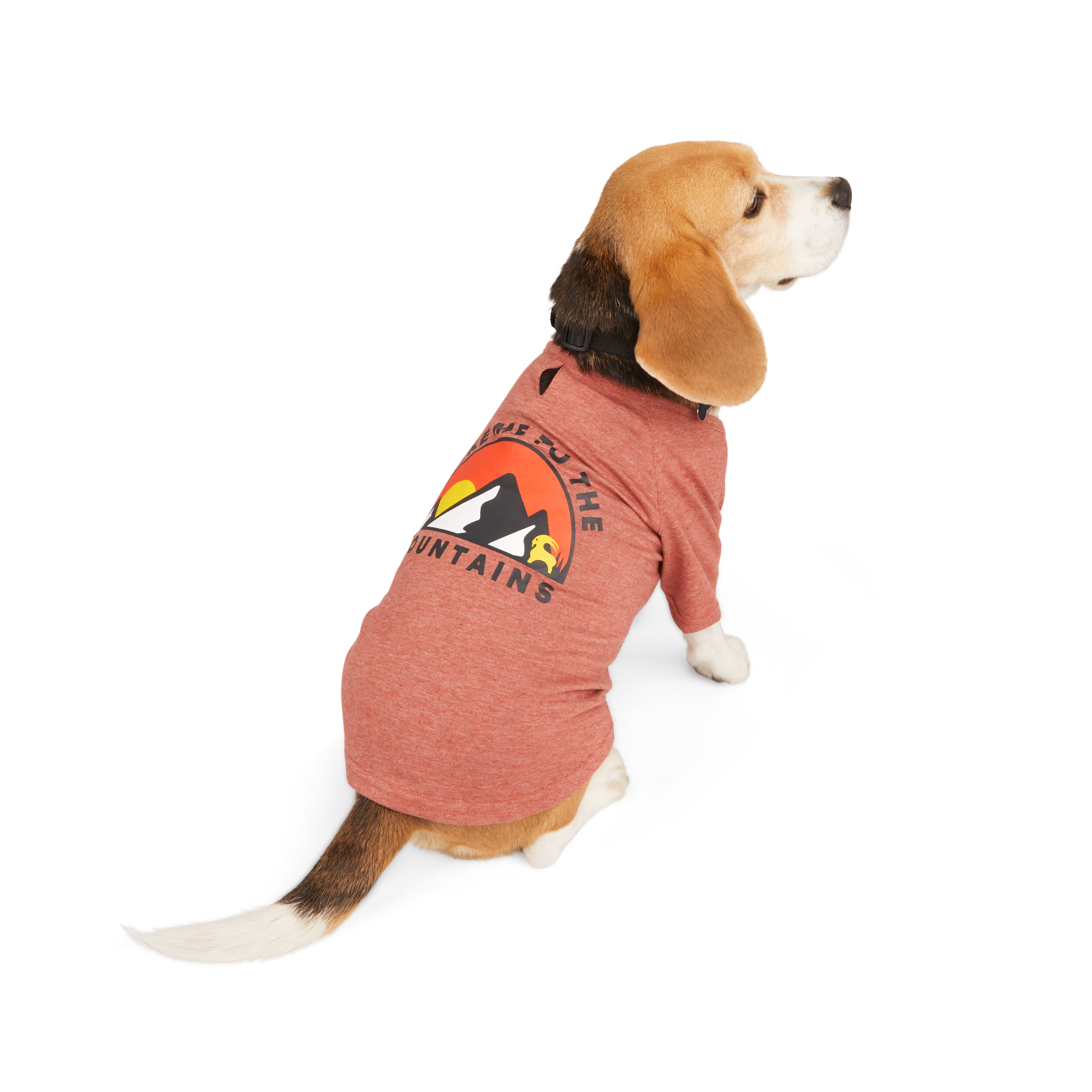 Petco dog sales t shirts