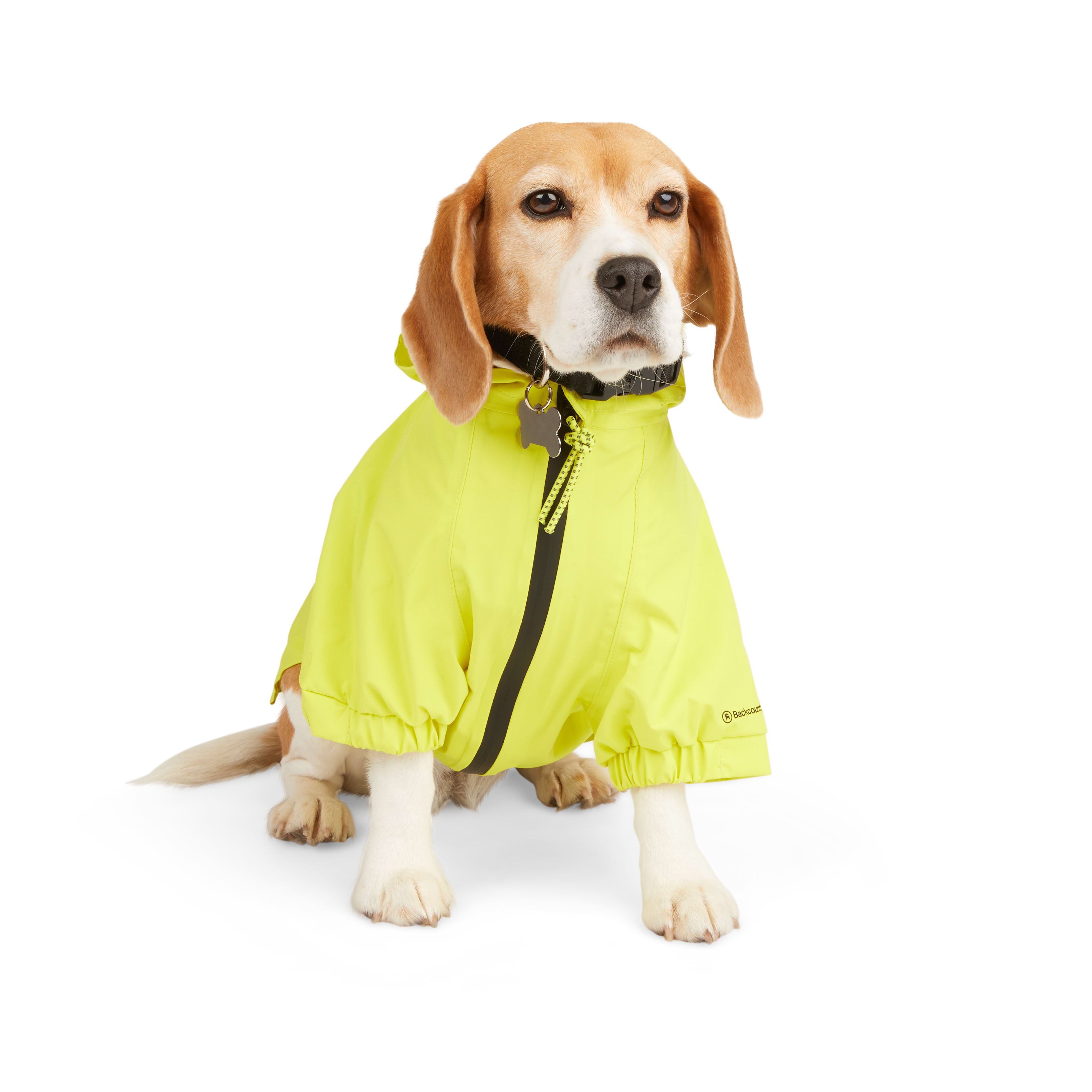 Yellow deals dog jacket