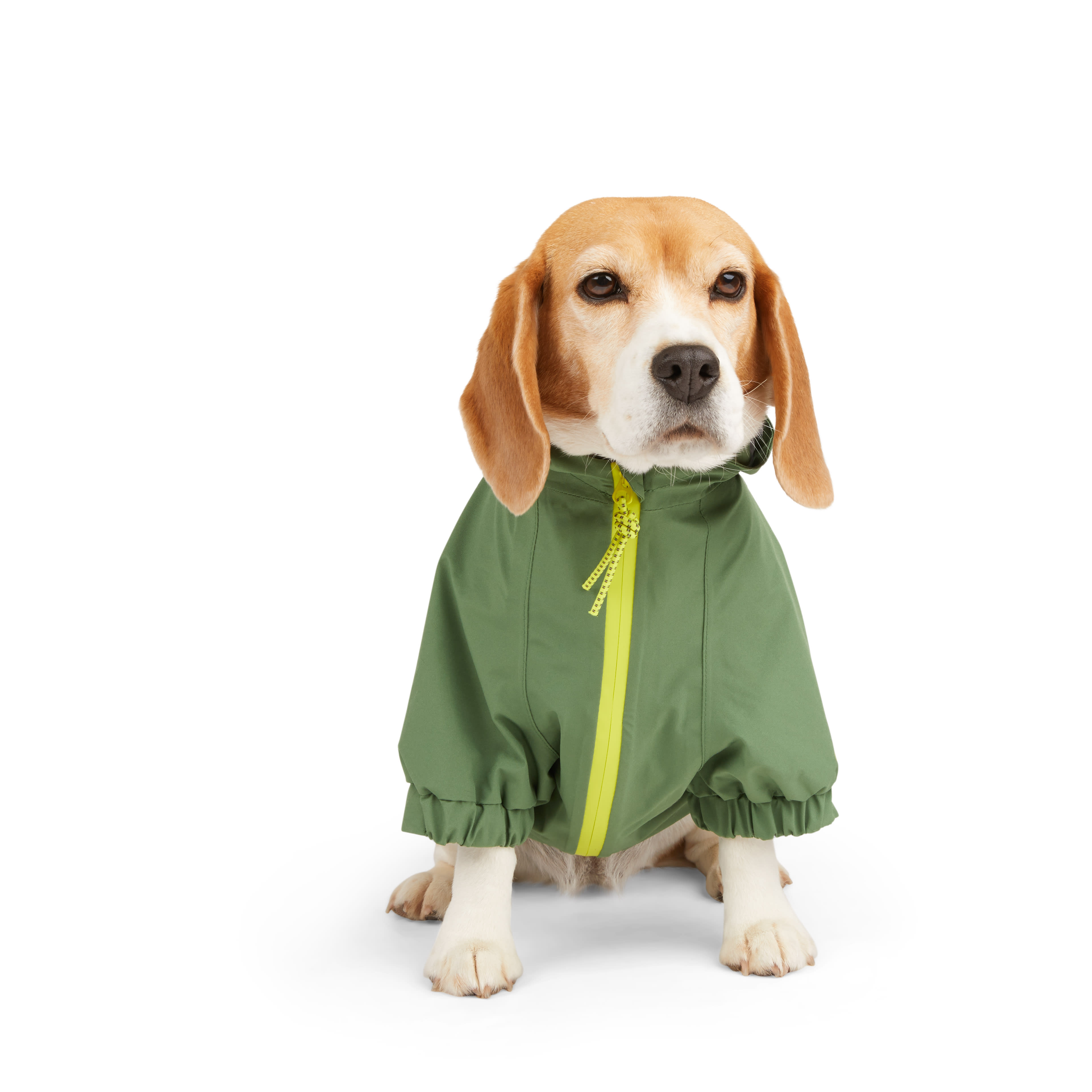 Petco on sale dog jackets