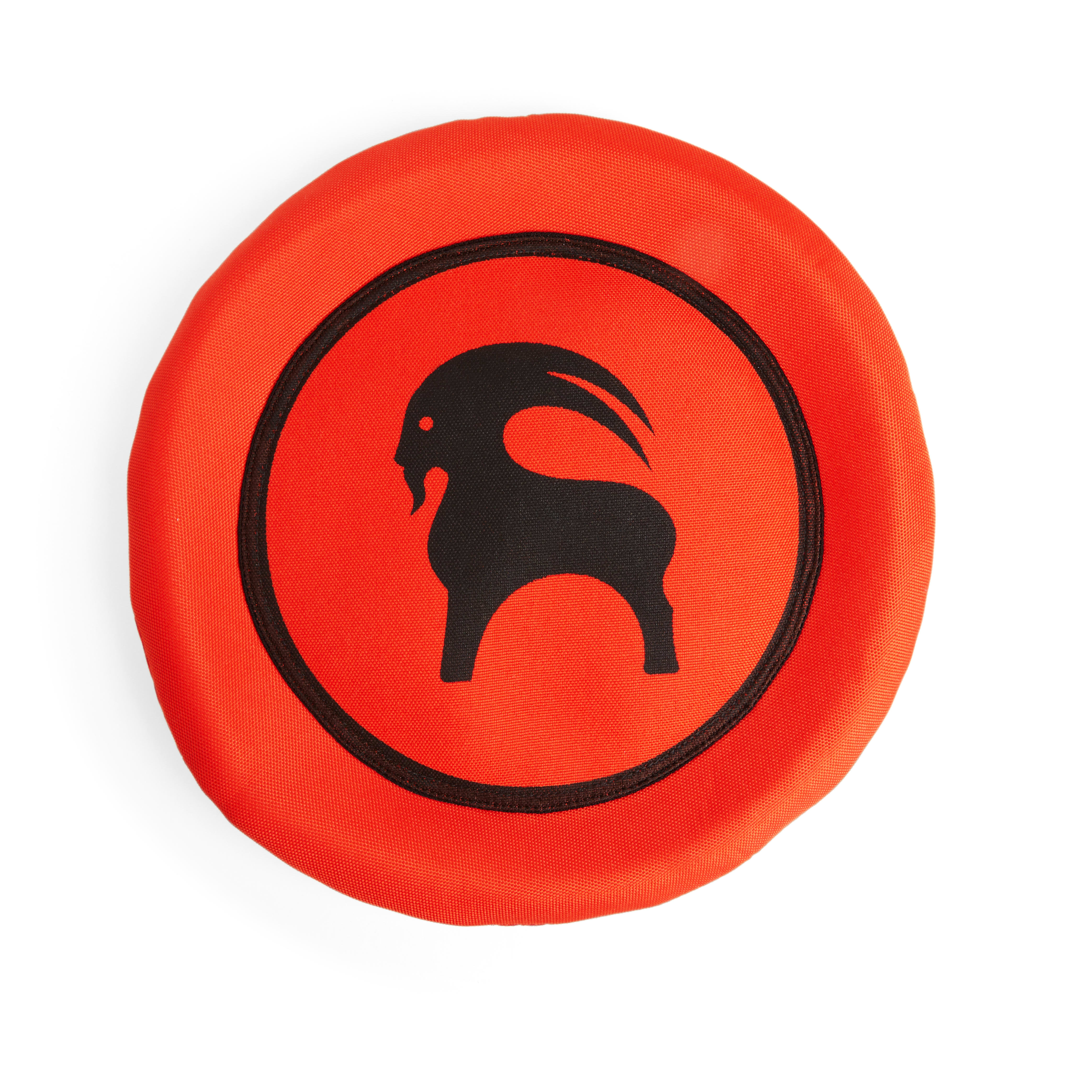 Dog frisbee with hole in center sales