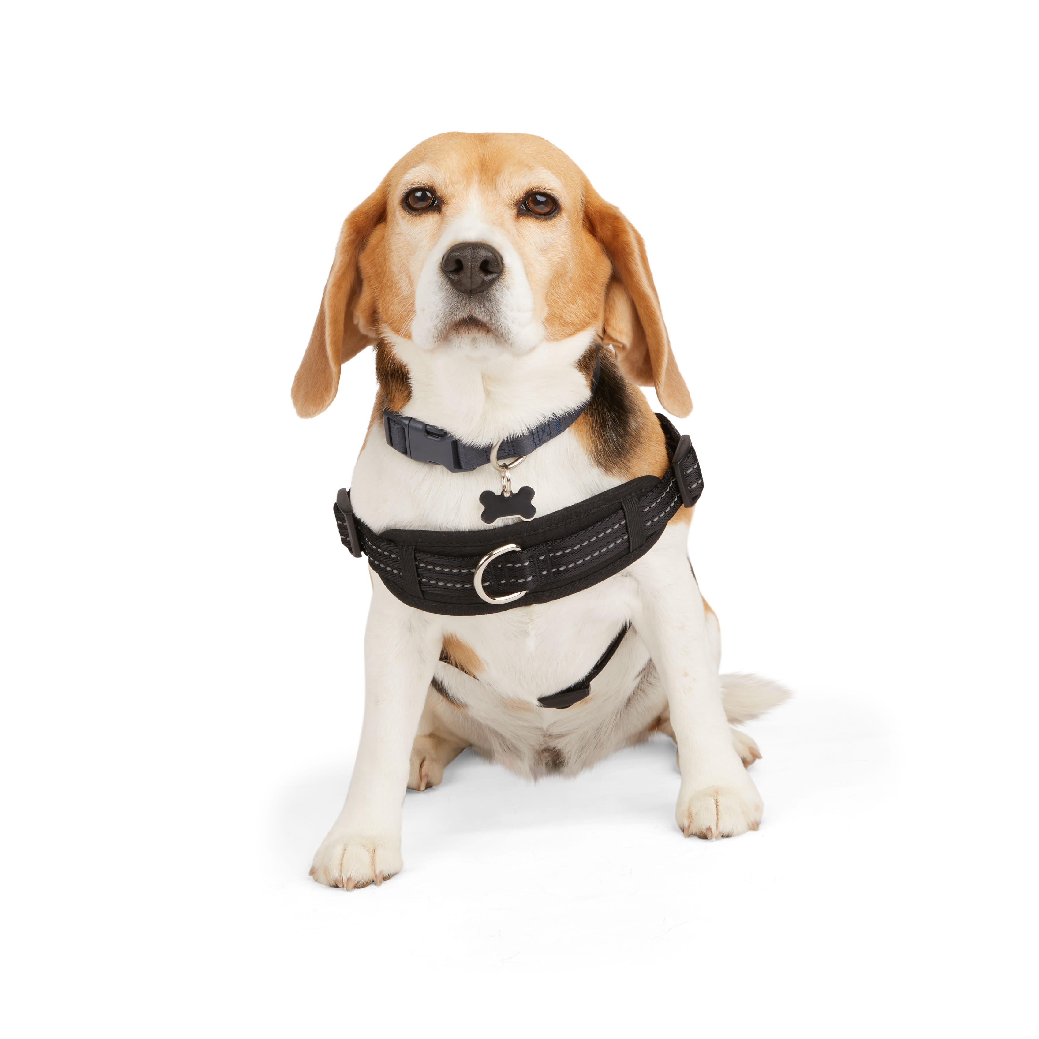 EveryYay Easy On Training Dog Harness Black Medium Petco