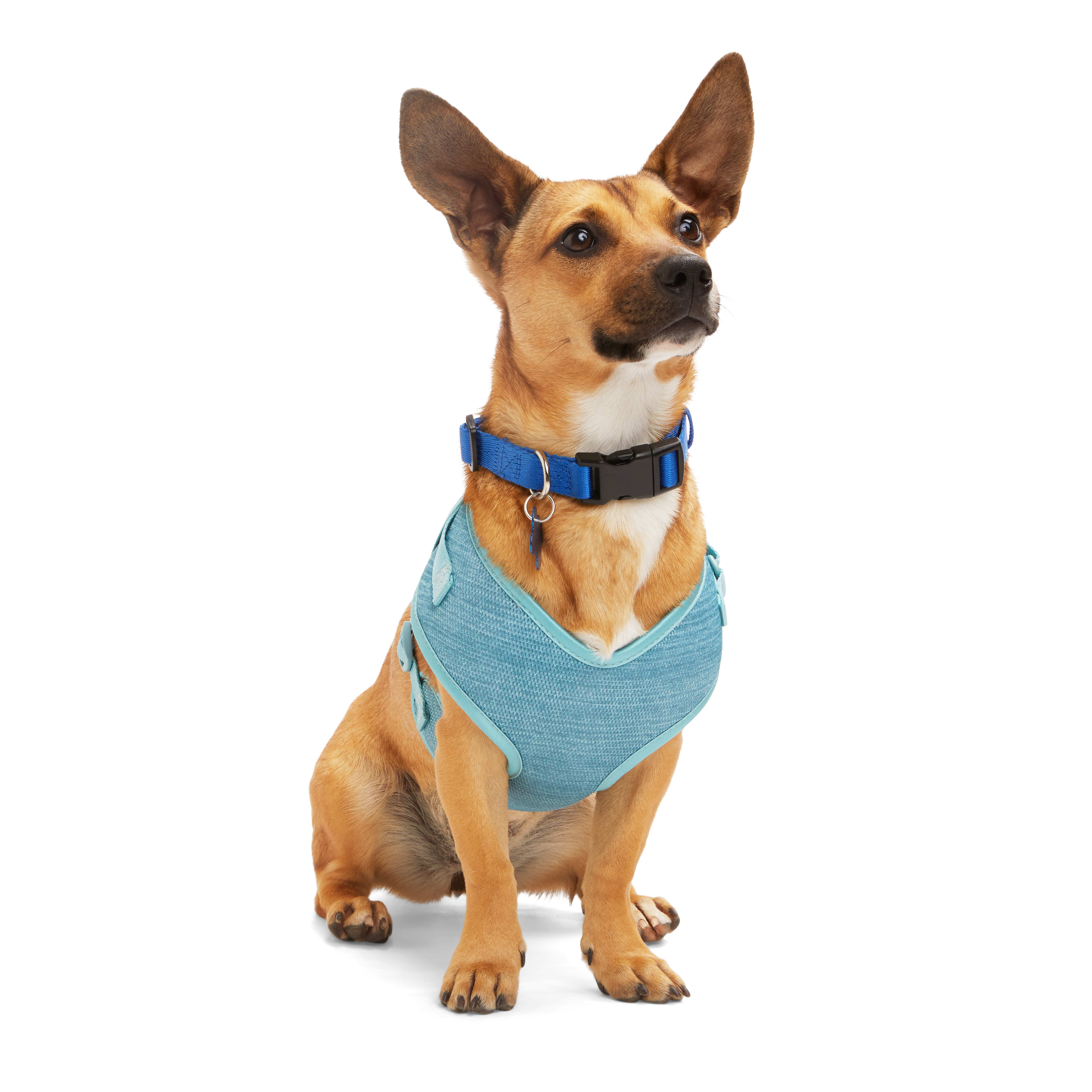 Dog Clothes, Dog Accessories, Dog Harnesses