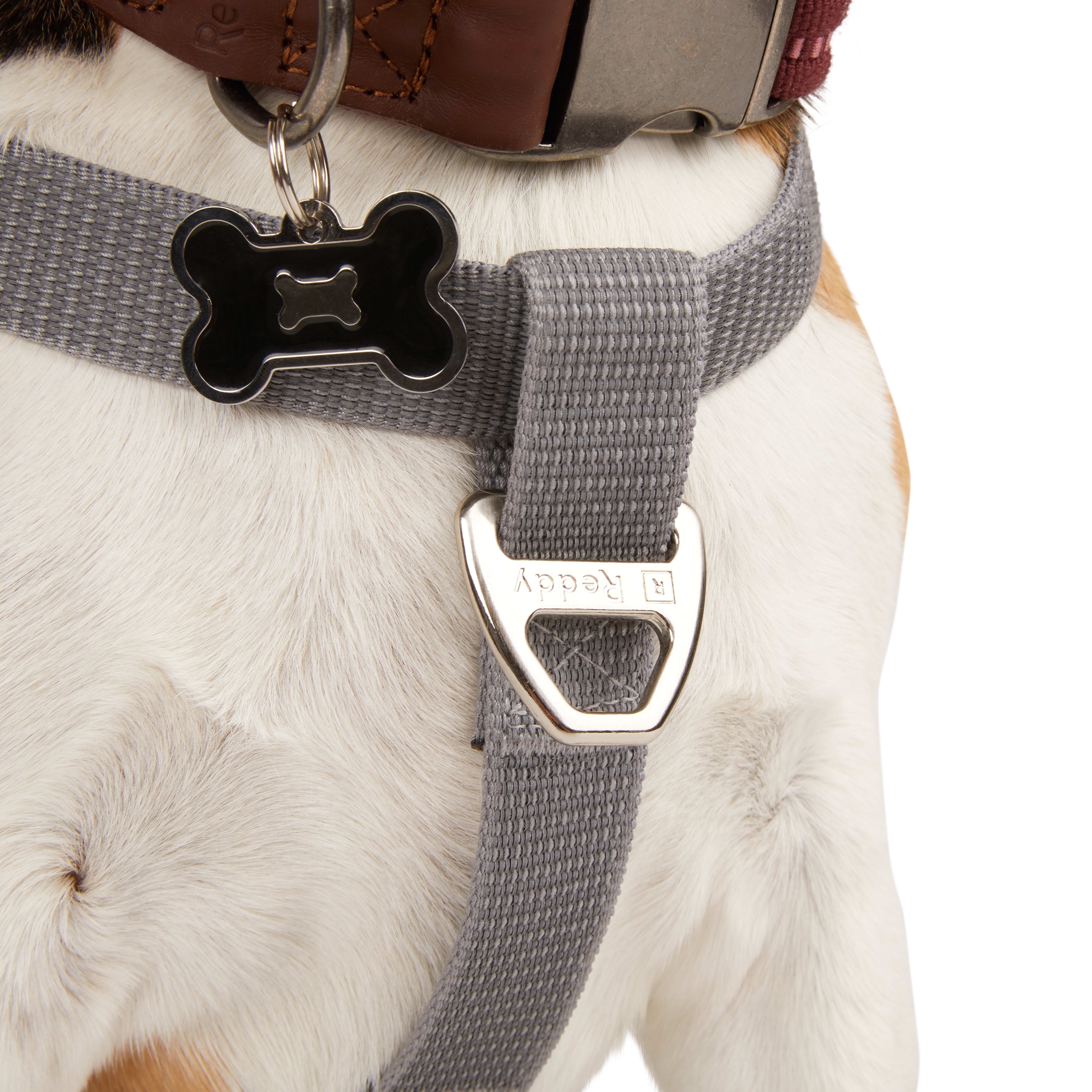 Petco reddy harness best sale