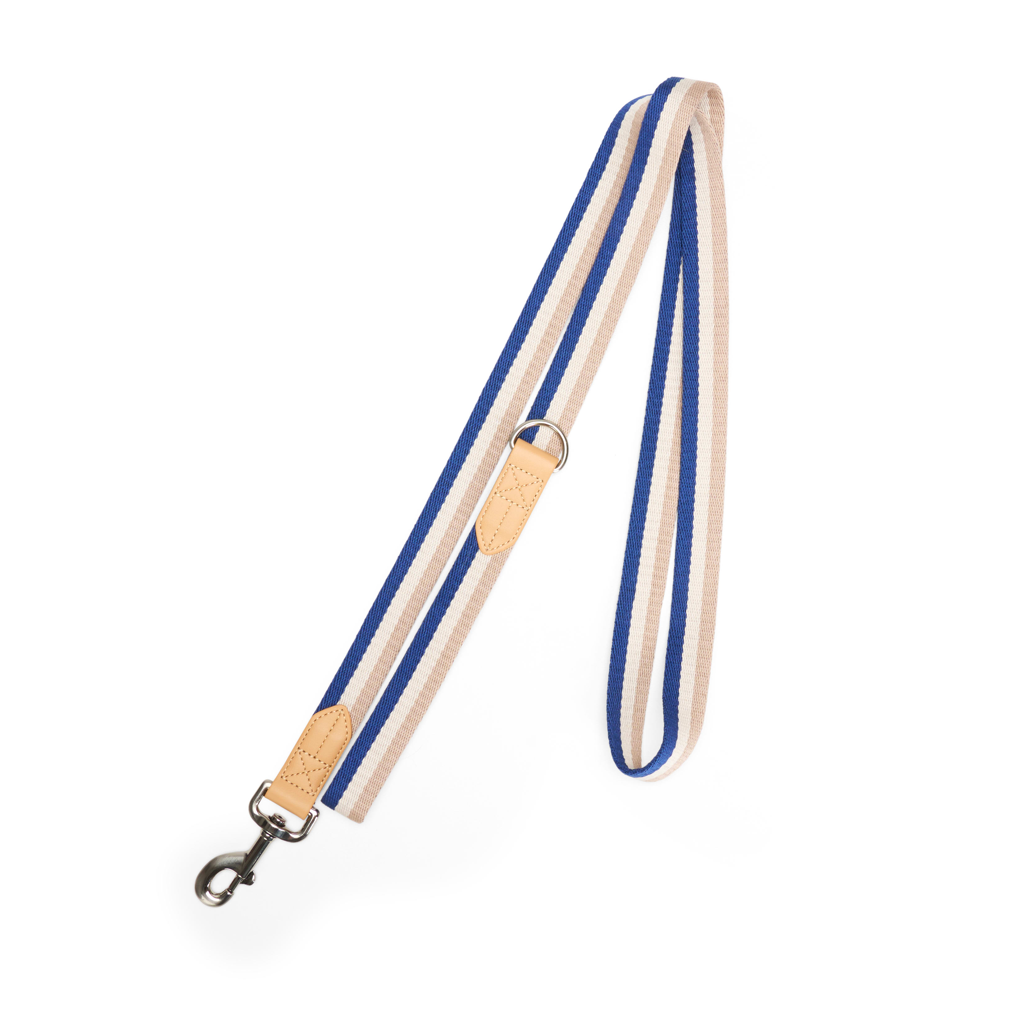 YOULY Blue & Tan Stripe Dog Leash, 6 ft. | Petco