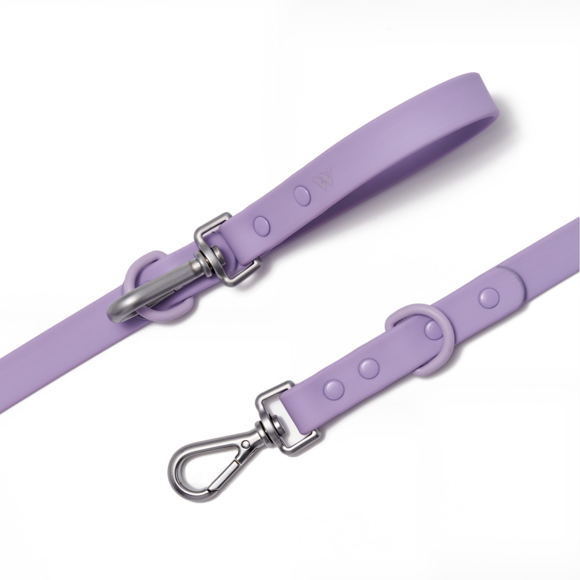 Wild One Waterproof Leash, Seafoam, 4.5 ft. Long, 1/2 in