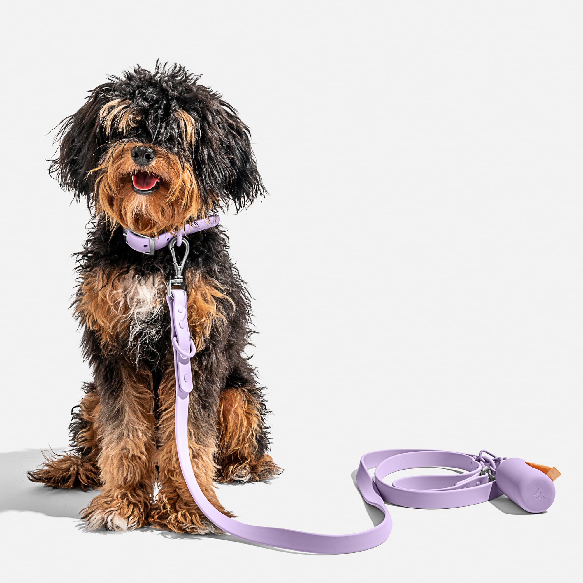 Leash and shop collar in one