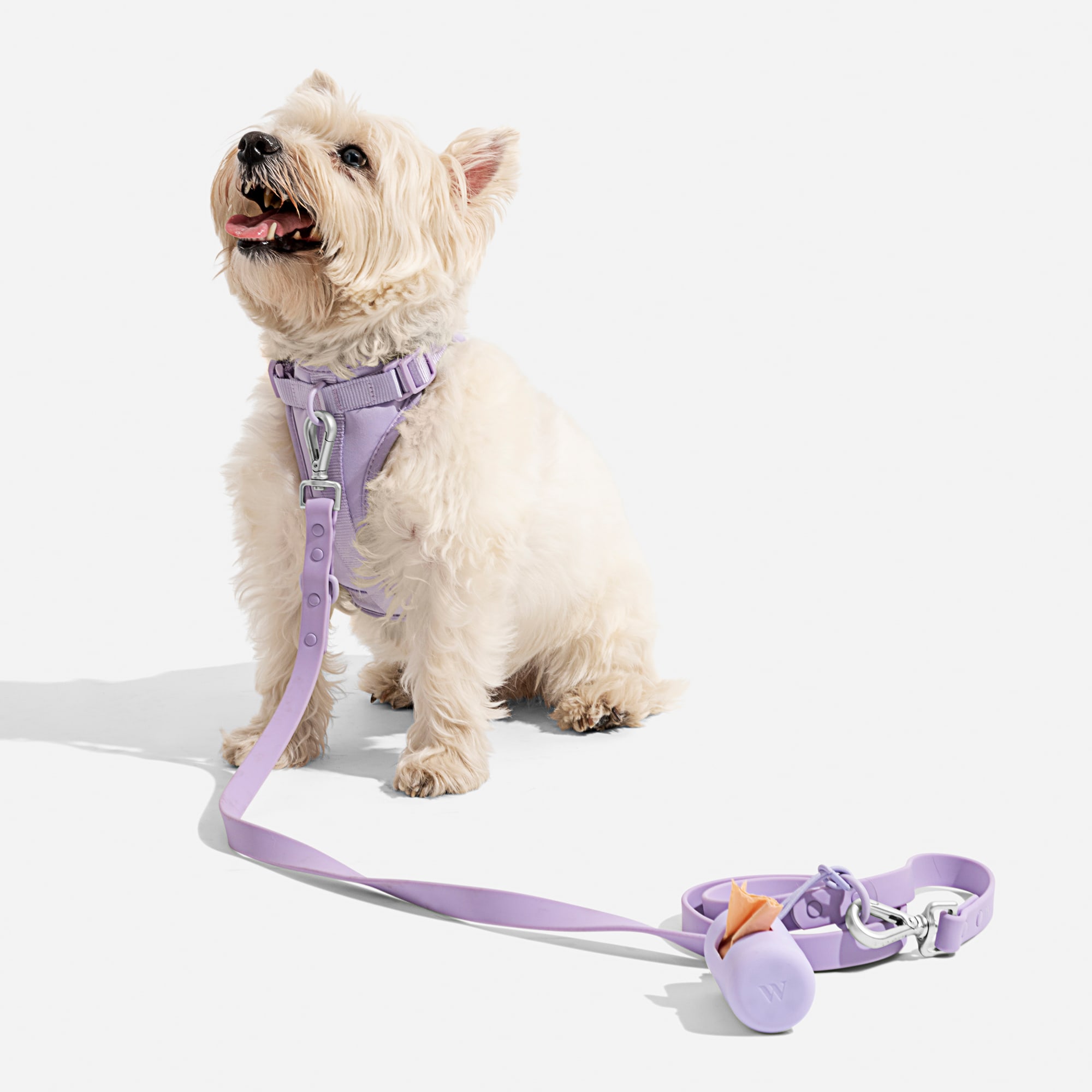 Wild One Lilac Dog Leash, 54 L