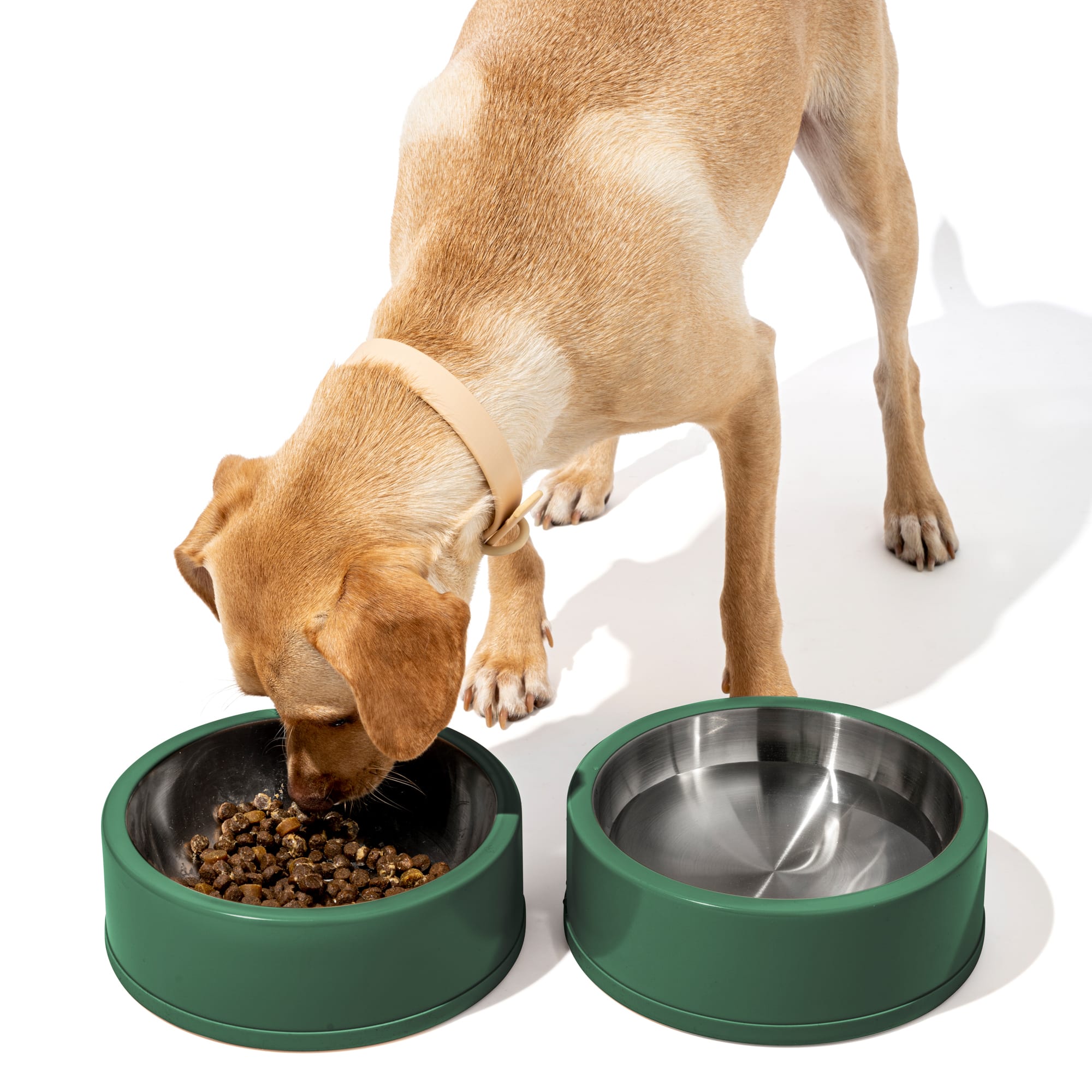 These Best Dog Bowls Dish It Up For Your Pups – Wild One