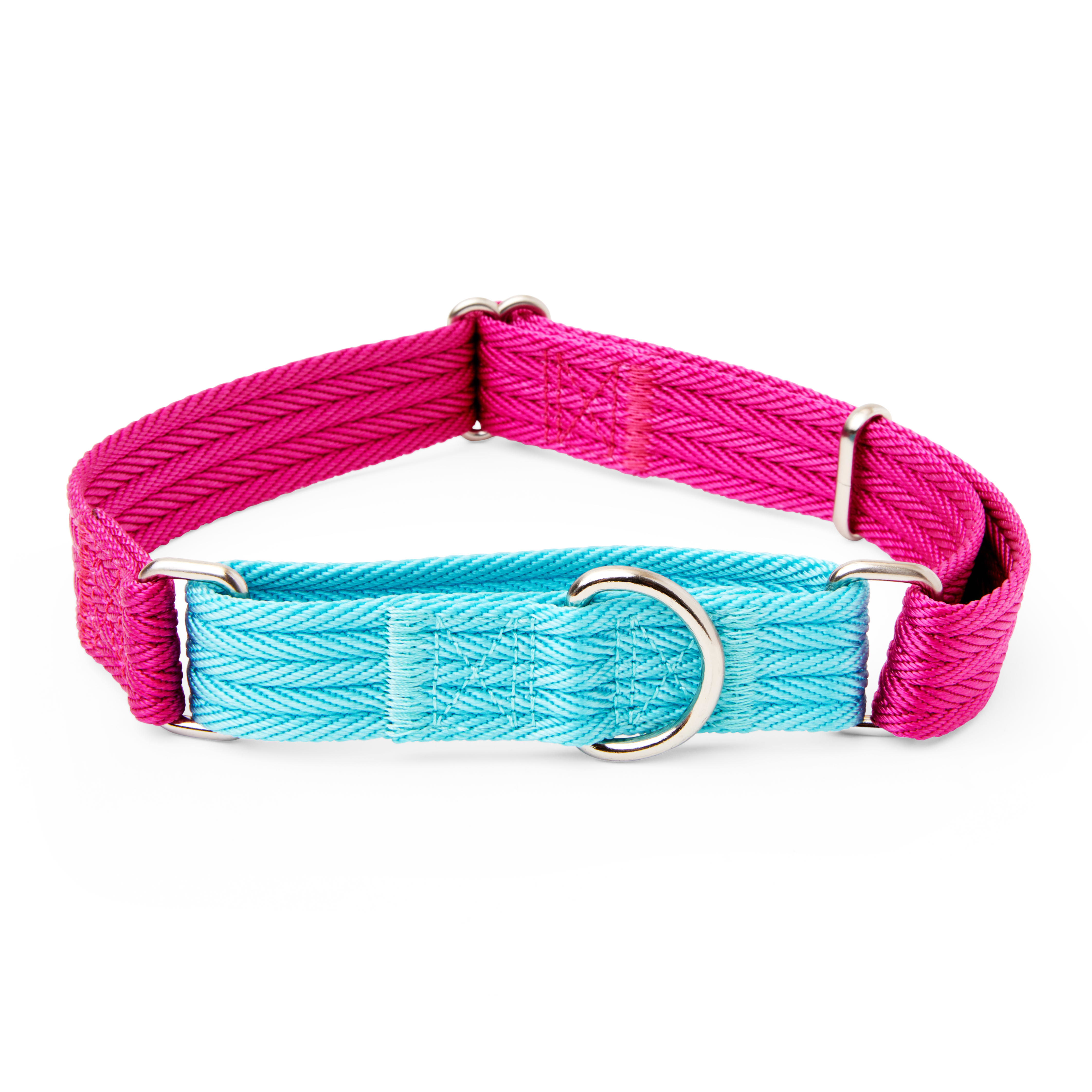 martingale small dog collar