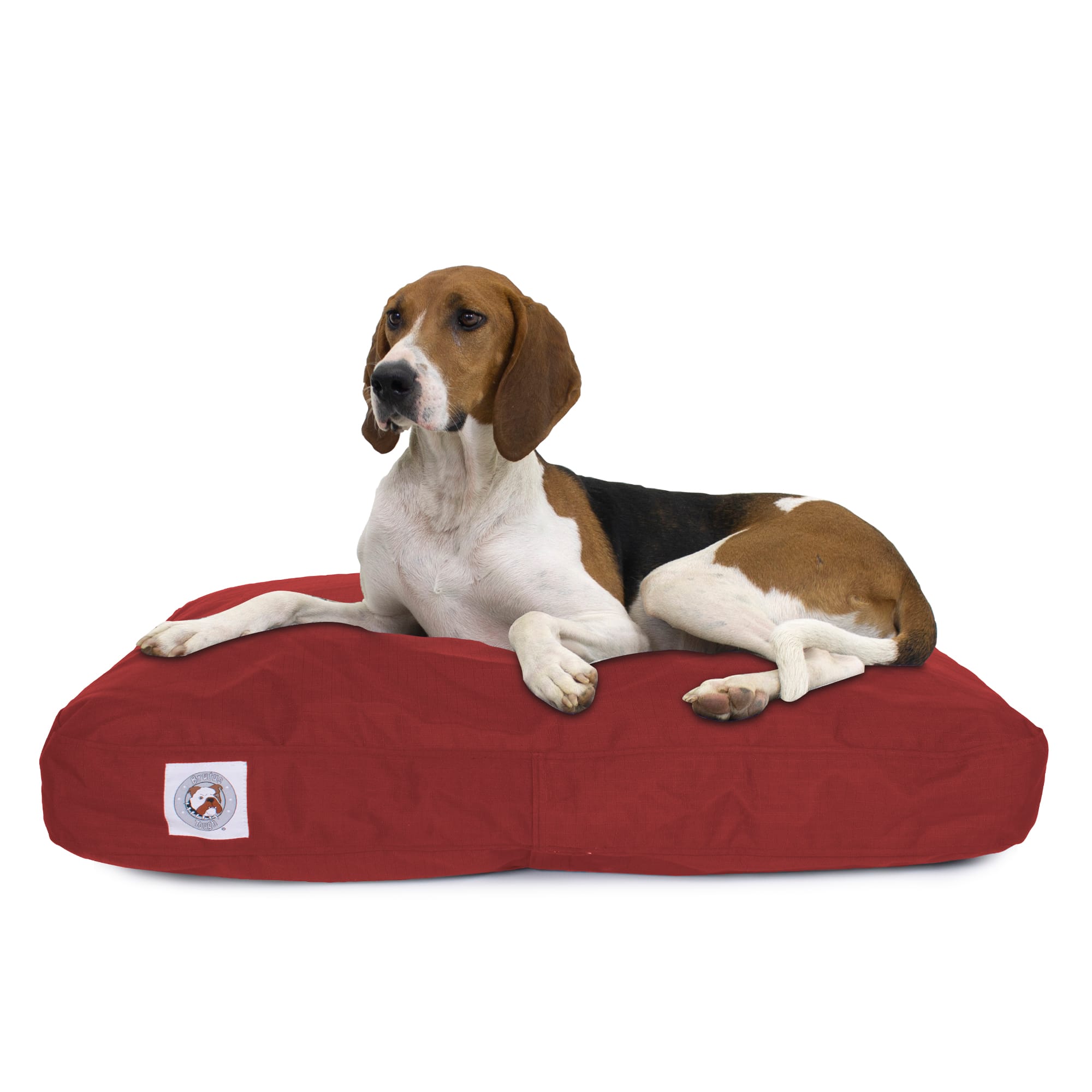  PetBed4Less Deluxe Chew Resistant Tear Resistant and Removable  Zipper Cover for Dog Bed Pet Pad : Pet Supplies