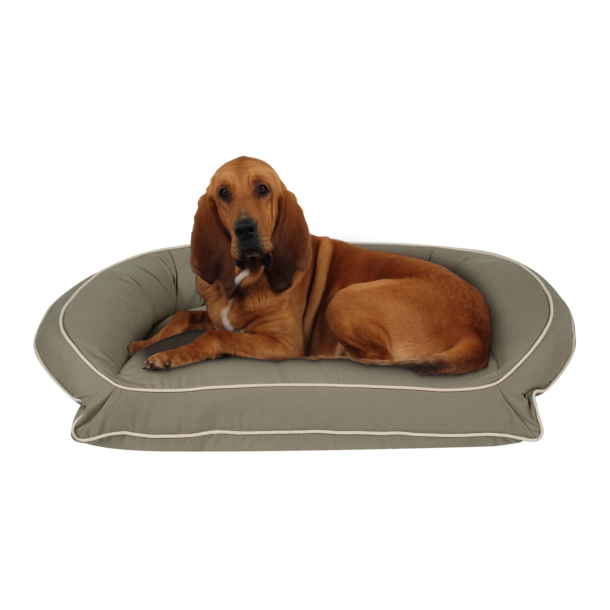 Carolina Pet Company Classic Canvas Bolster Lounger Dog Bed, 48" L X 36