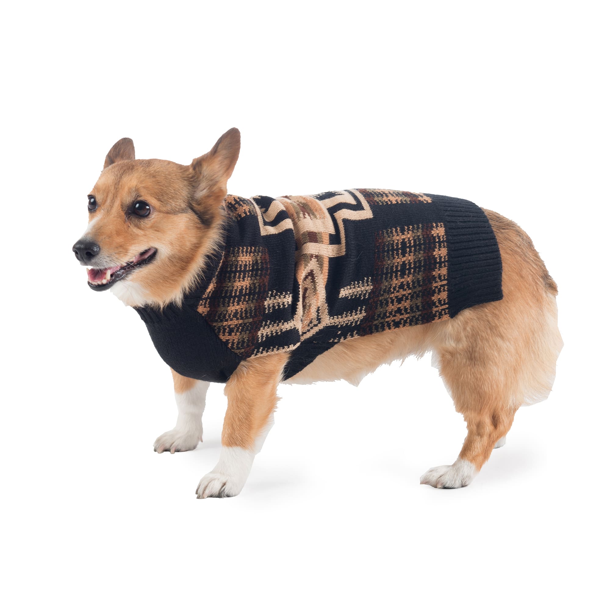 Pendleton Harding Dog Sweater, Small | Petco