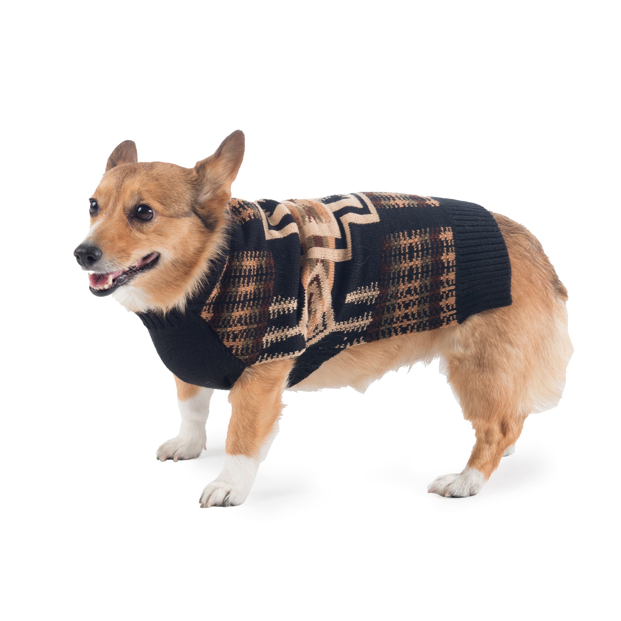 Pendleton Harding Dog Sweater, Small Petco