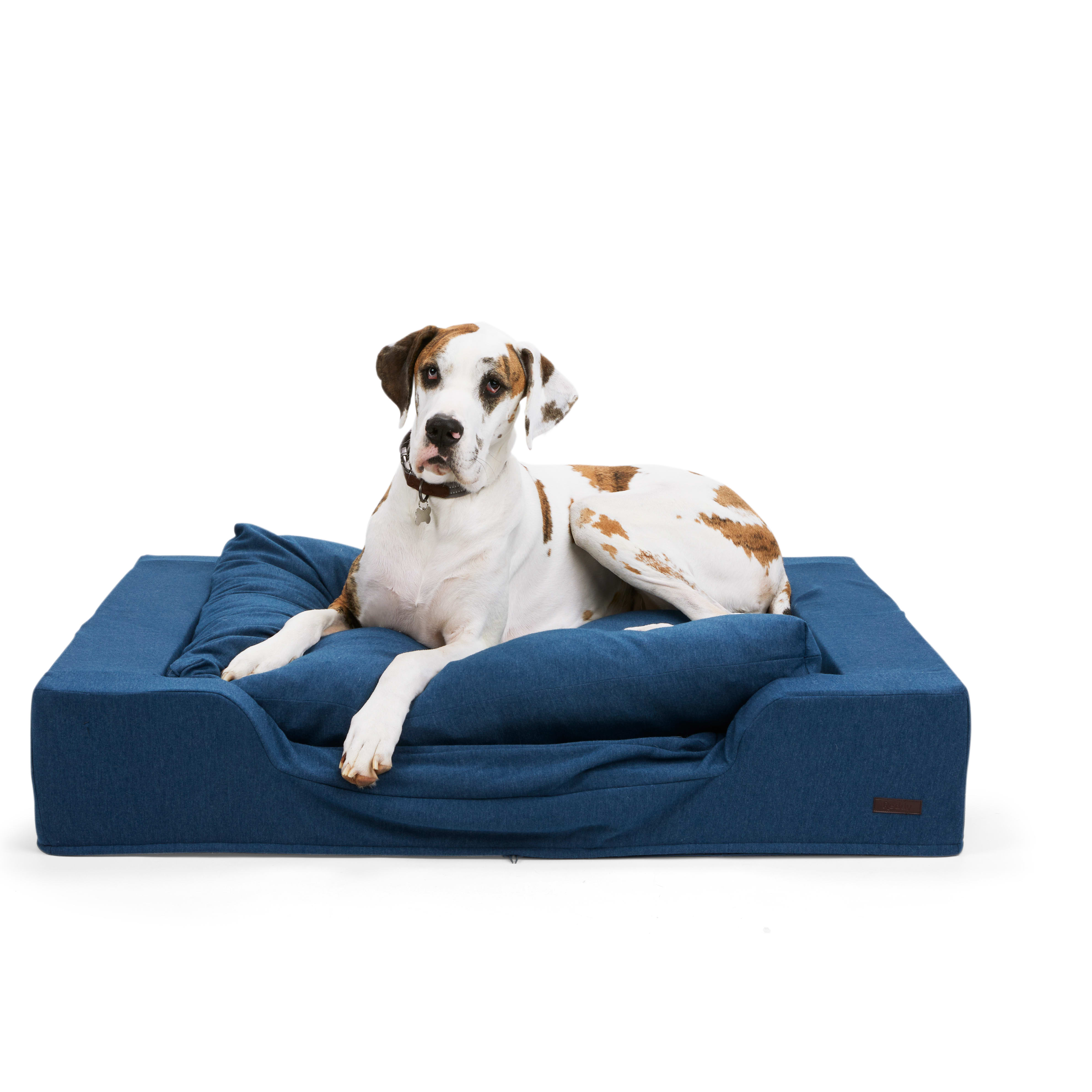 Reddy Navy Cloud Orthopedic Box Dog Bed, 48" L X 36" W Petco