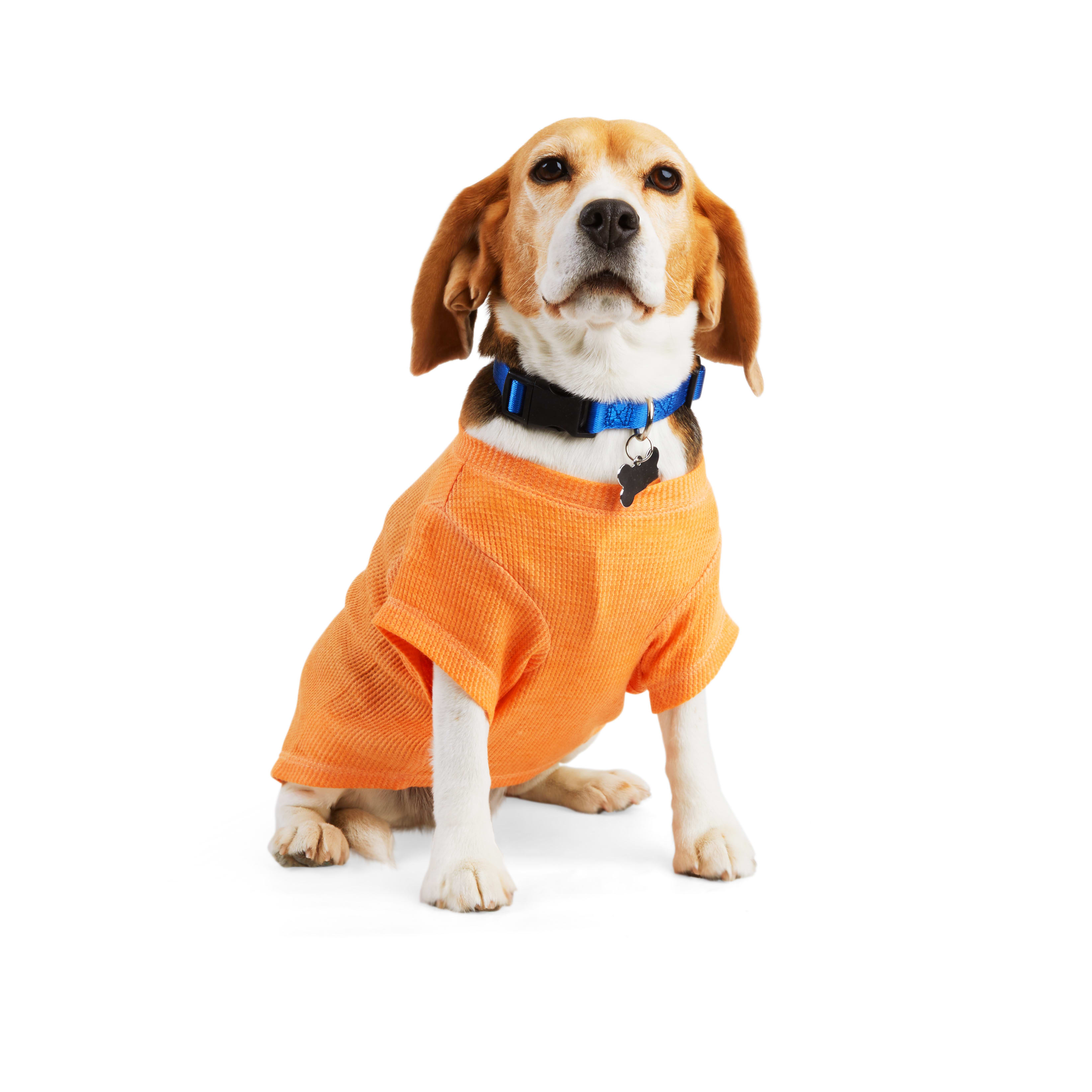 Dog on sale thermal shirt