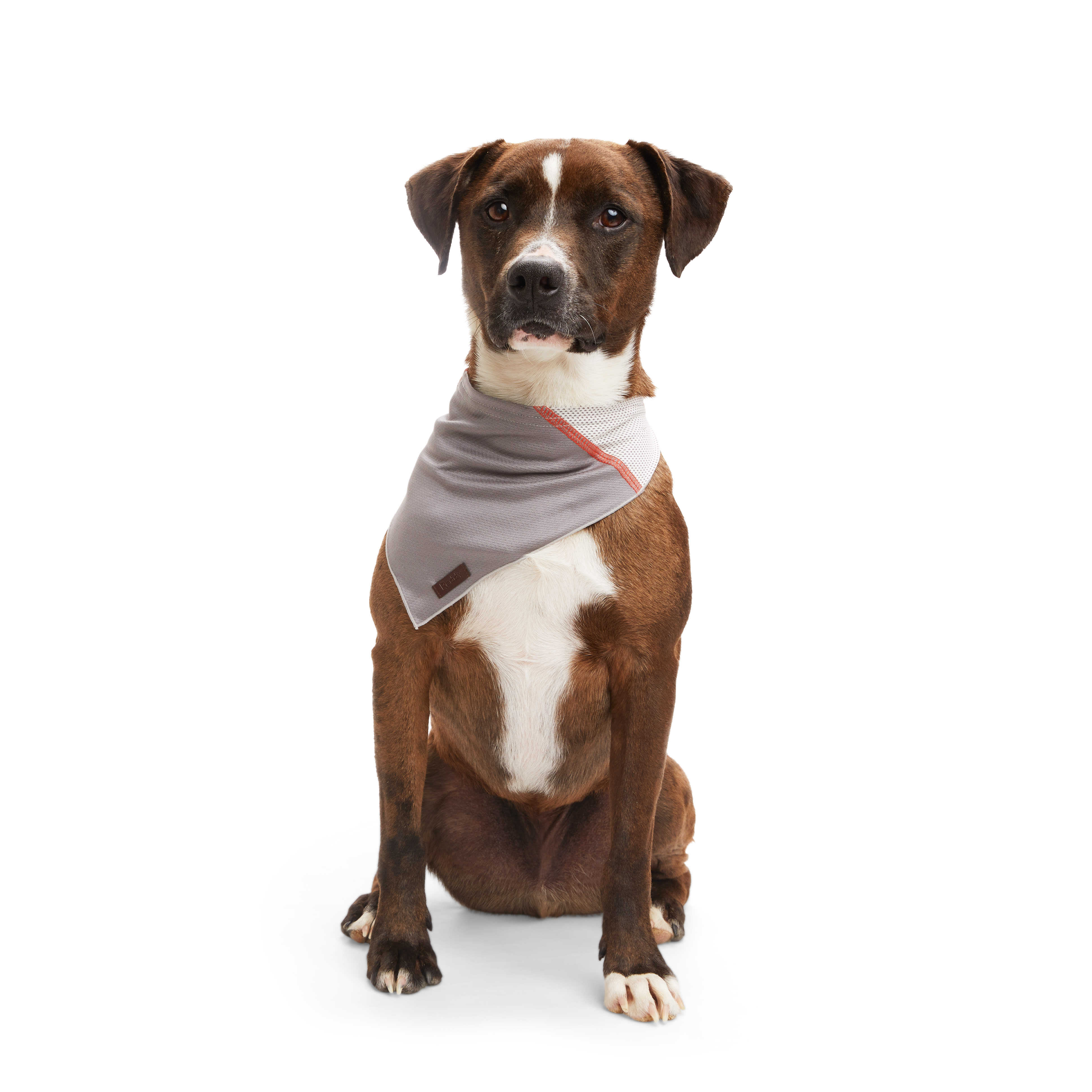 Pet Goods Dog Bandana