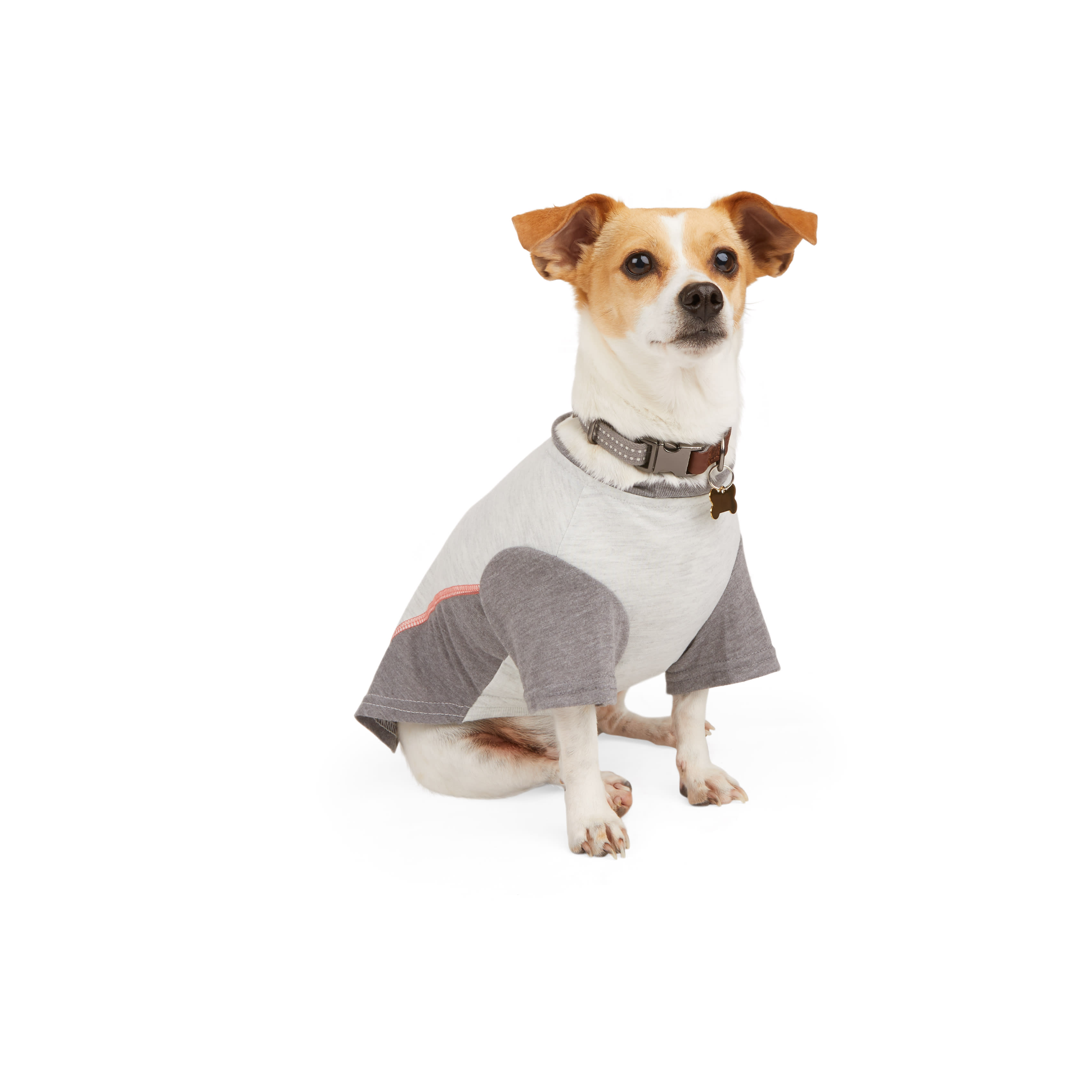 Big brother 2025 dog shirt petco