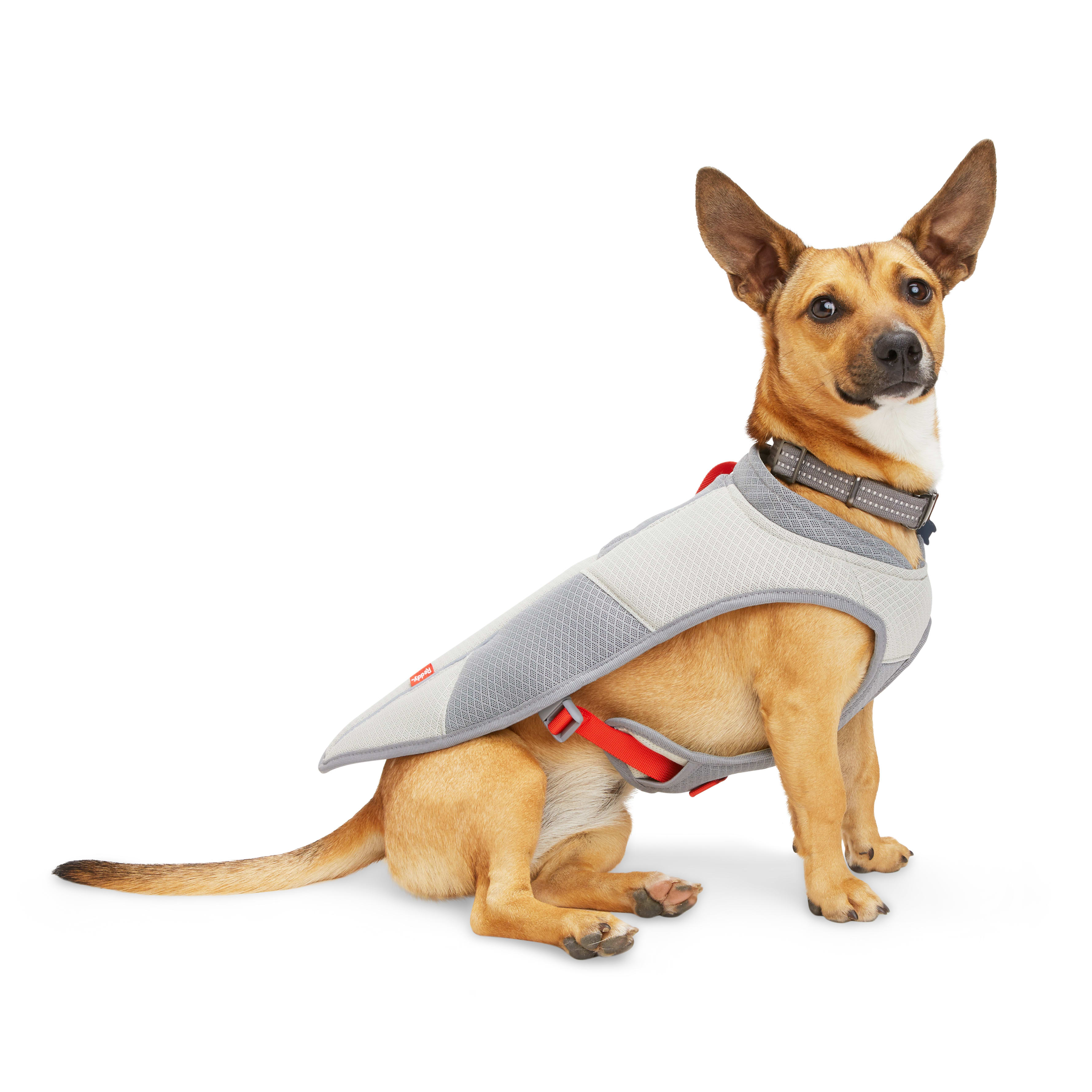 Petco on sale cooling vest