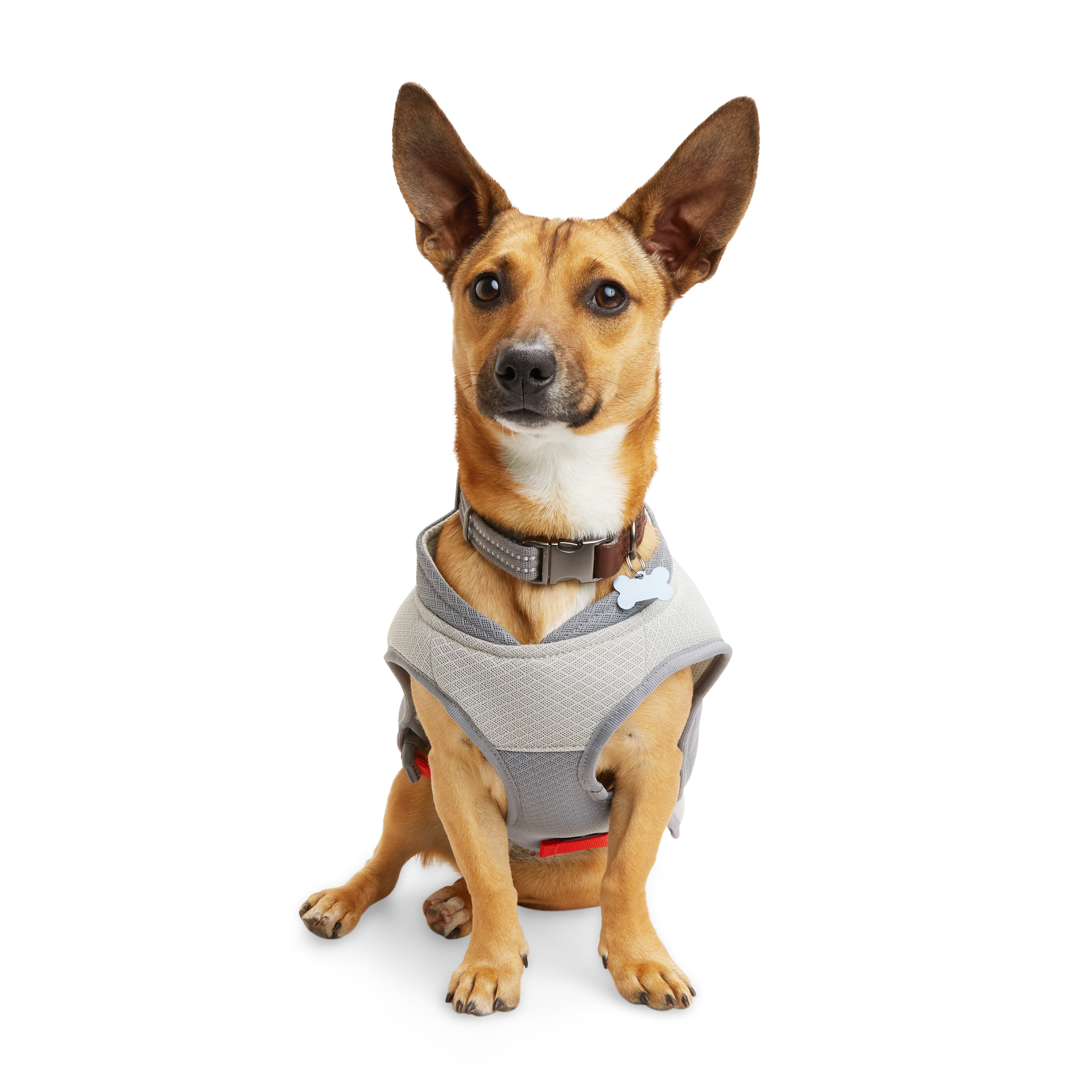 Dog anxiety hotsell vest petco