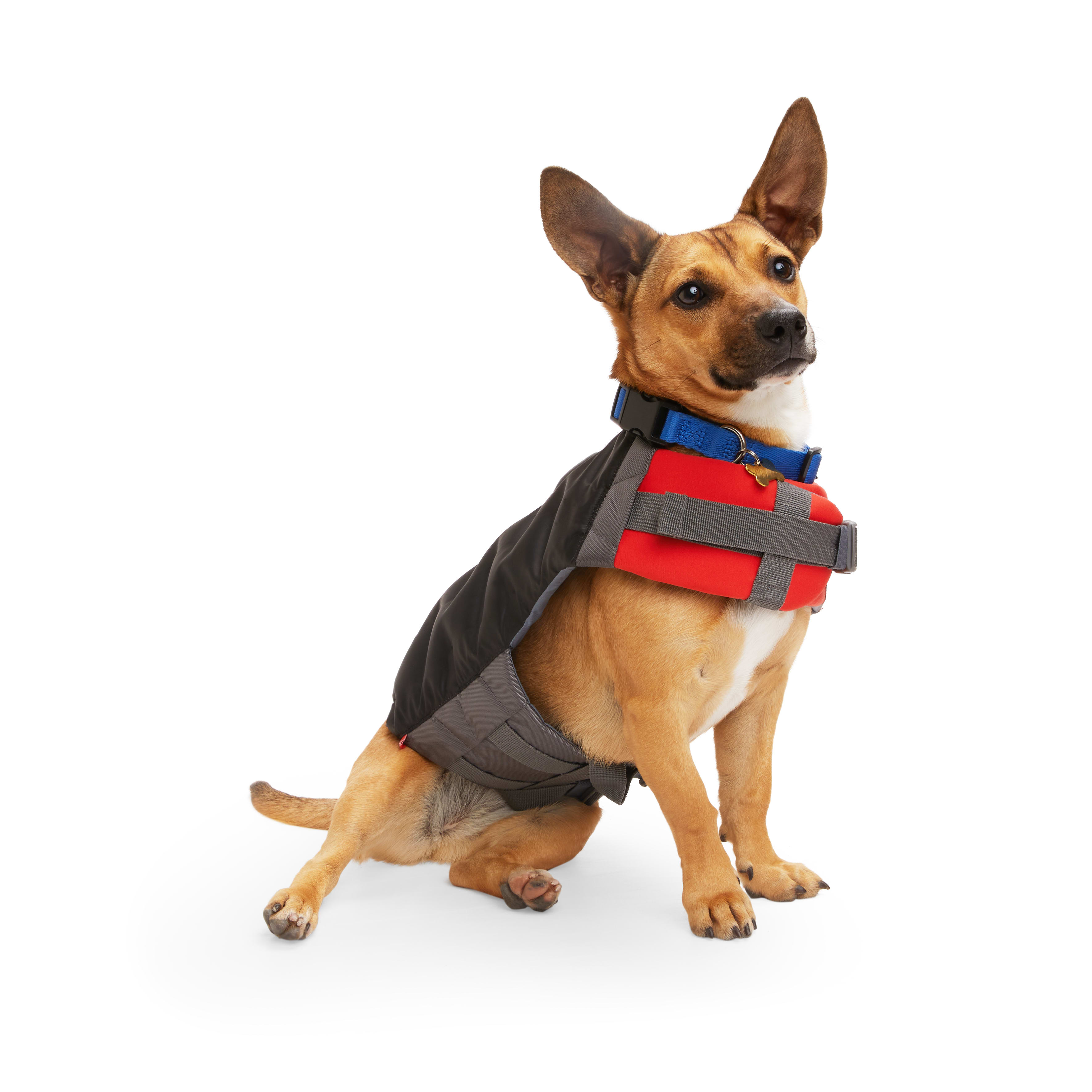 Petco life jackets for hot sale dogs