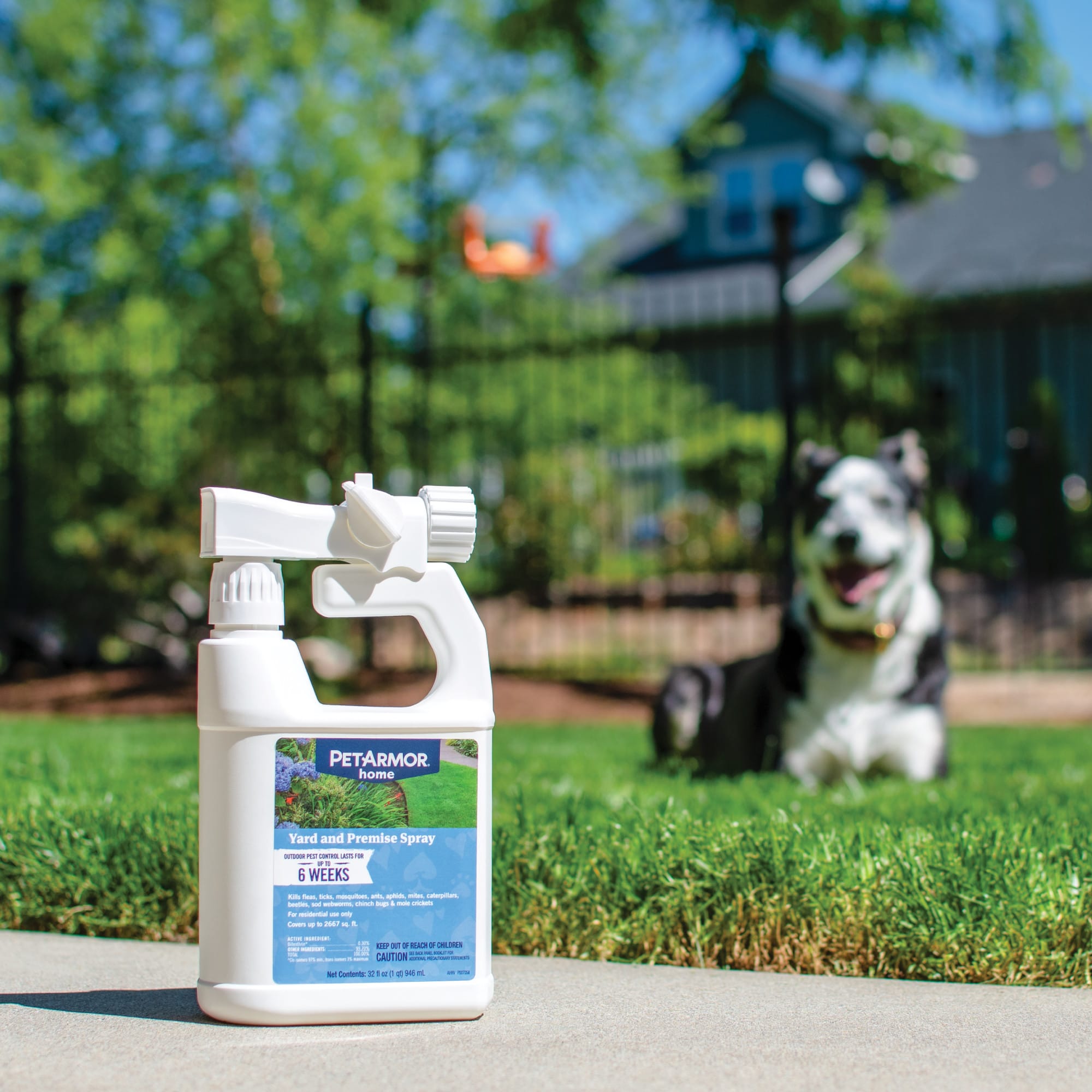 Parvo spray for yard best sale